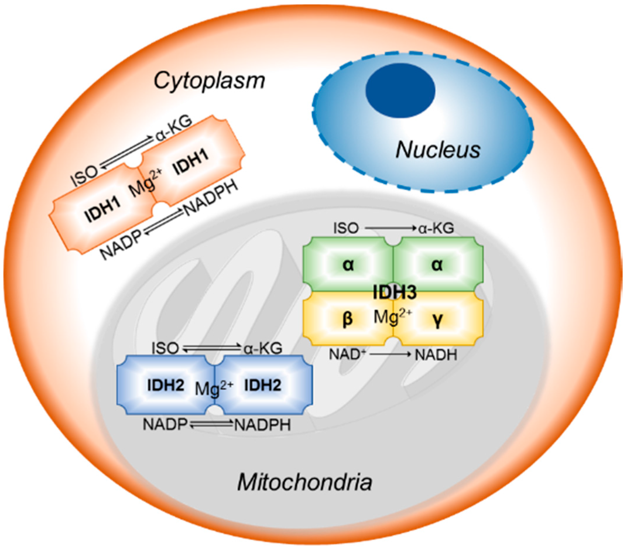 Cancers 10 00049 g001