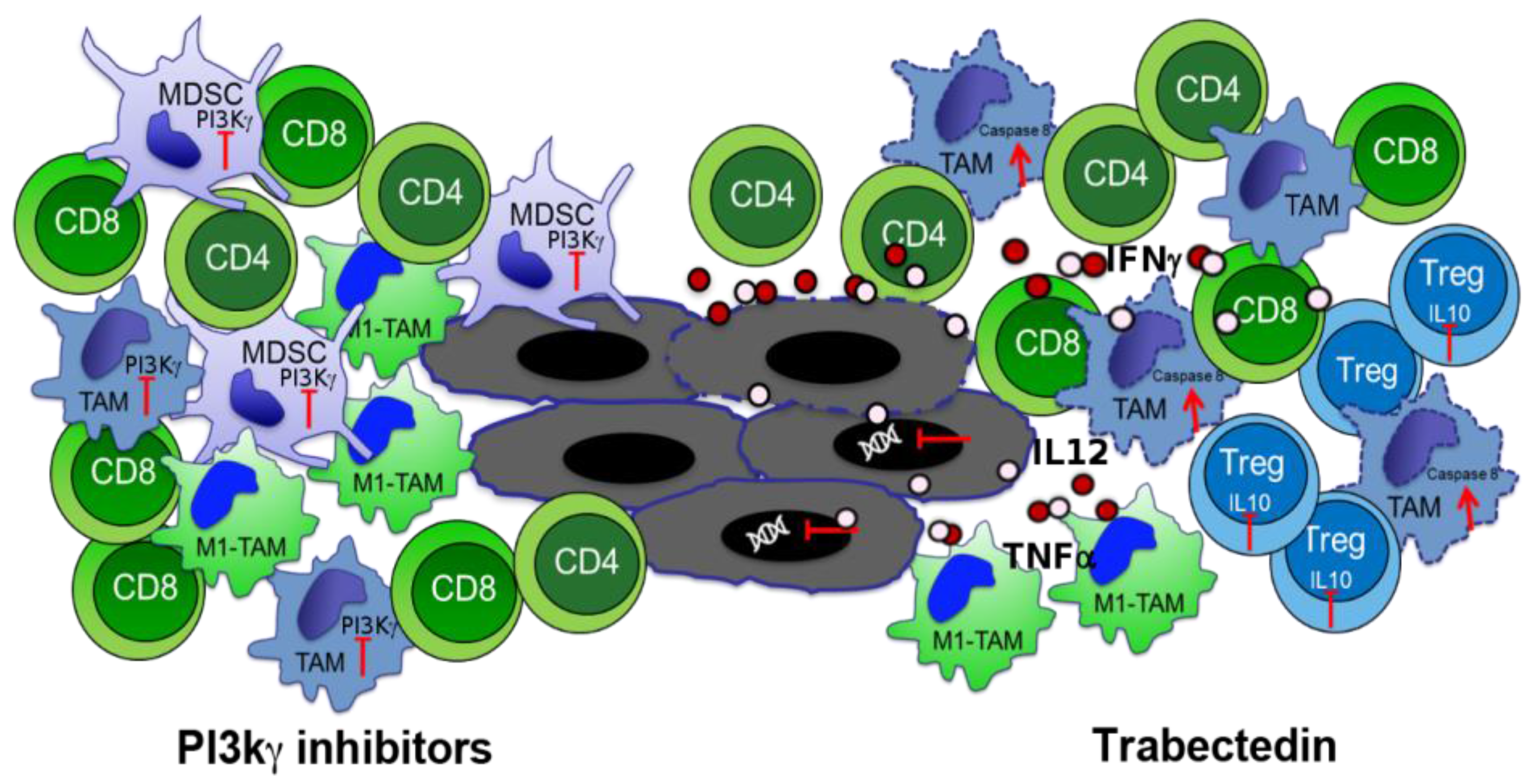 Cancers 10 00051 g003