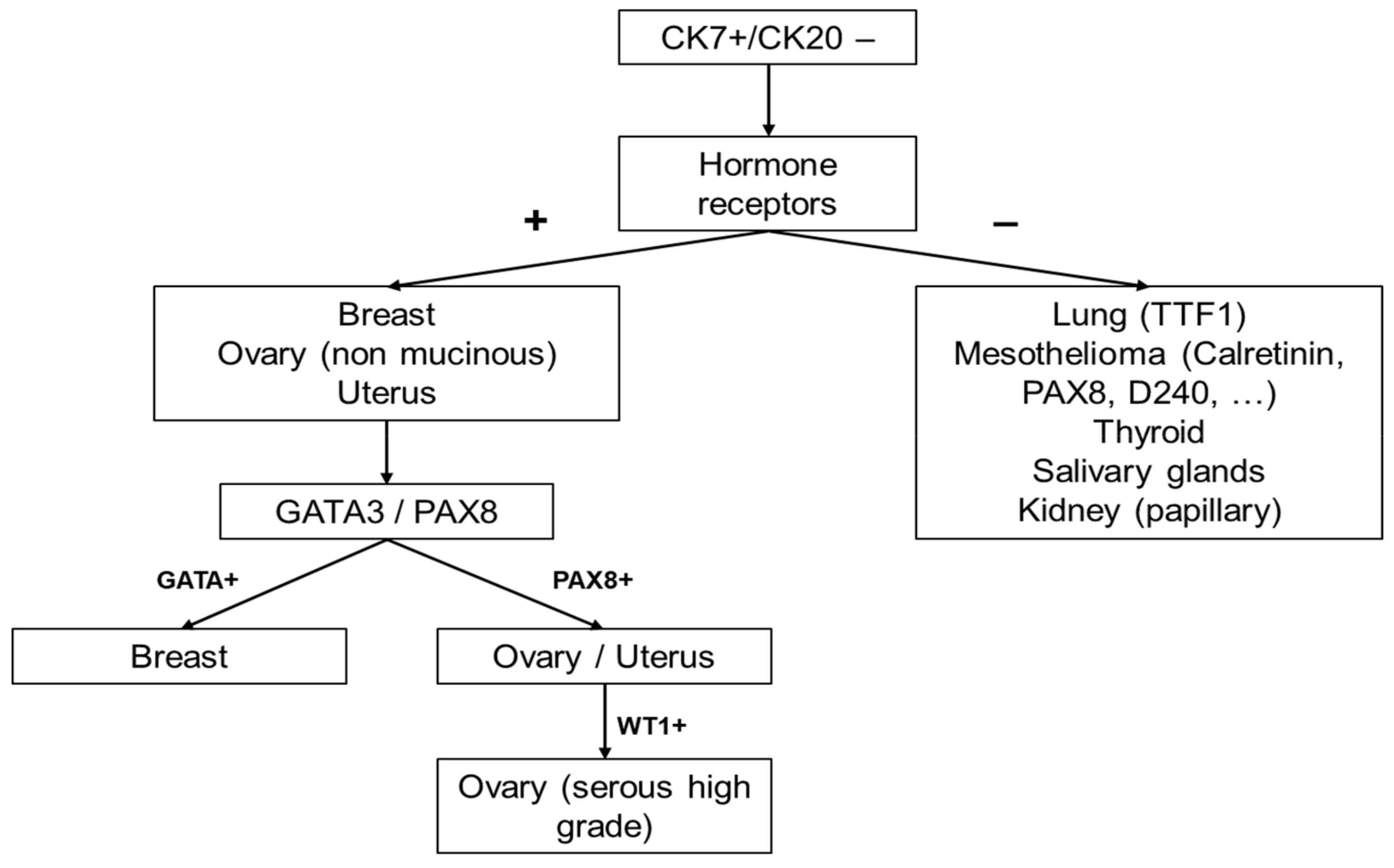 quantitative diagnosis of malignant pleural effusions by single cell mechanophenotyping