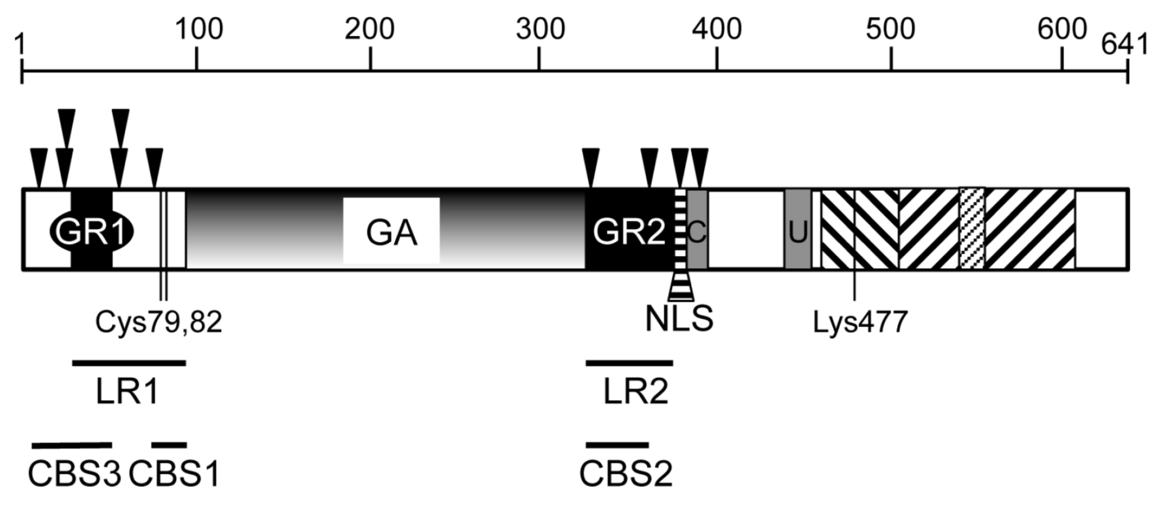 Cancers 10 00109 g001 Cancers 10 00109 g001