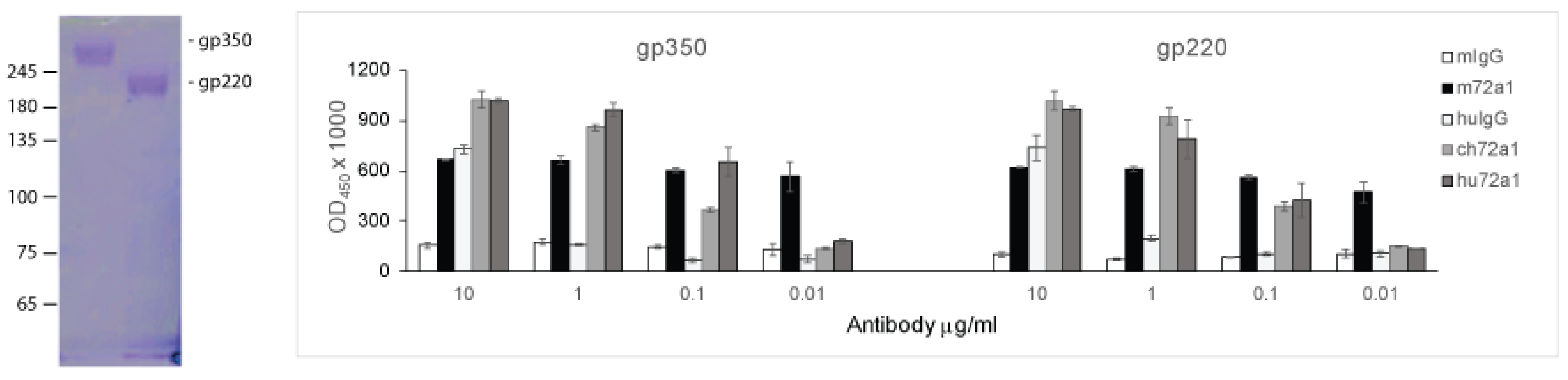 Cancers 10 00112 g003 Cancers 10 00112 g003