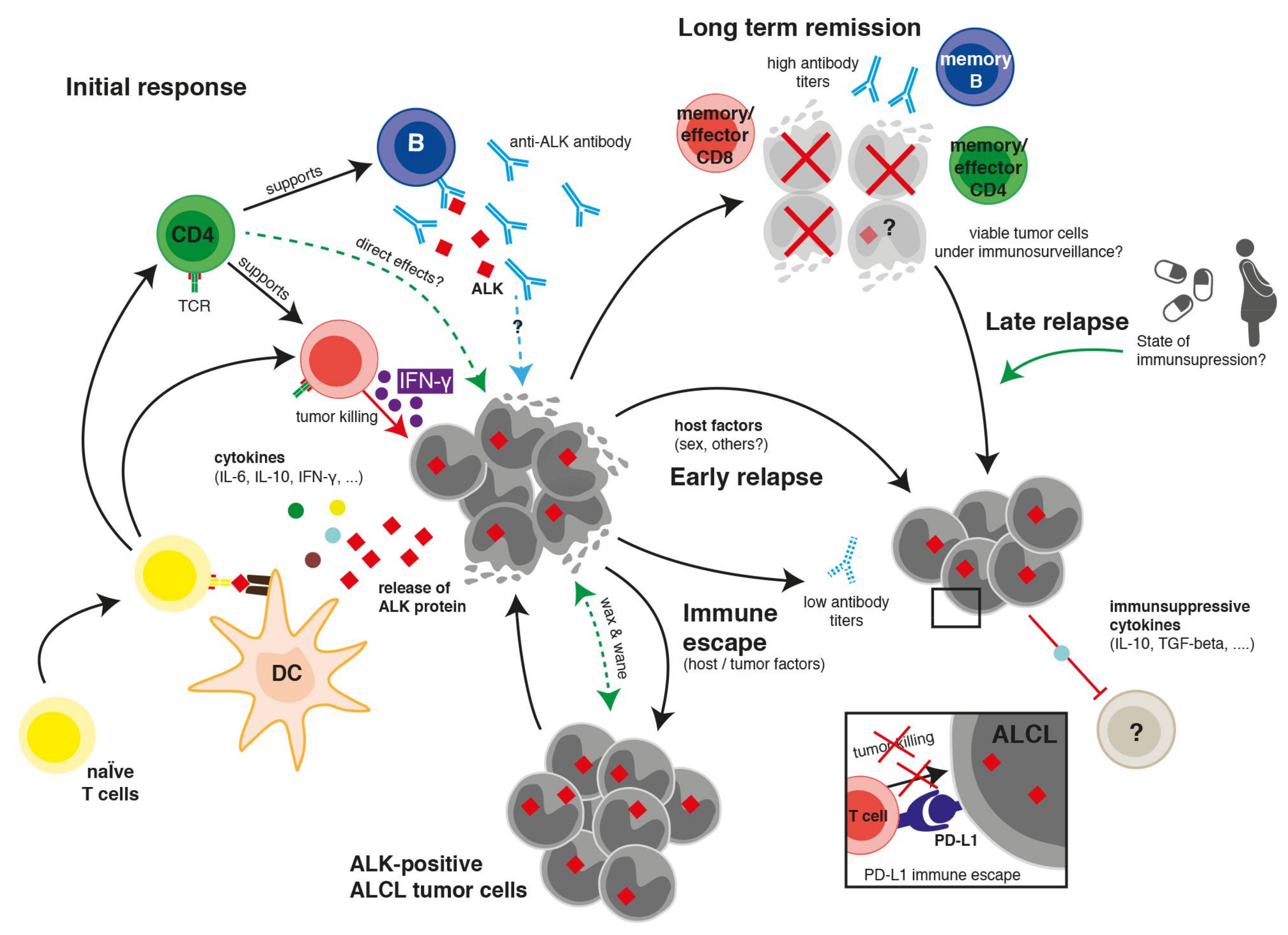 Cancers 10 00114 g001