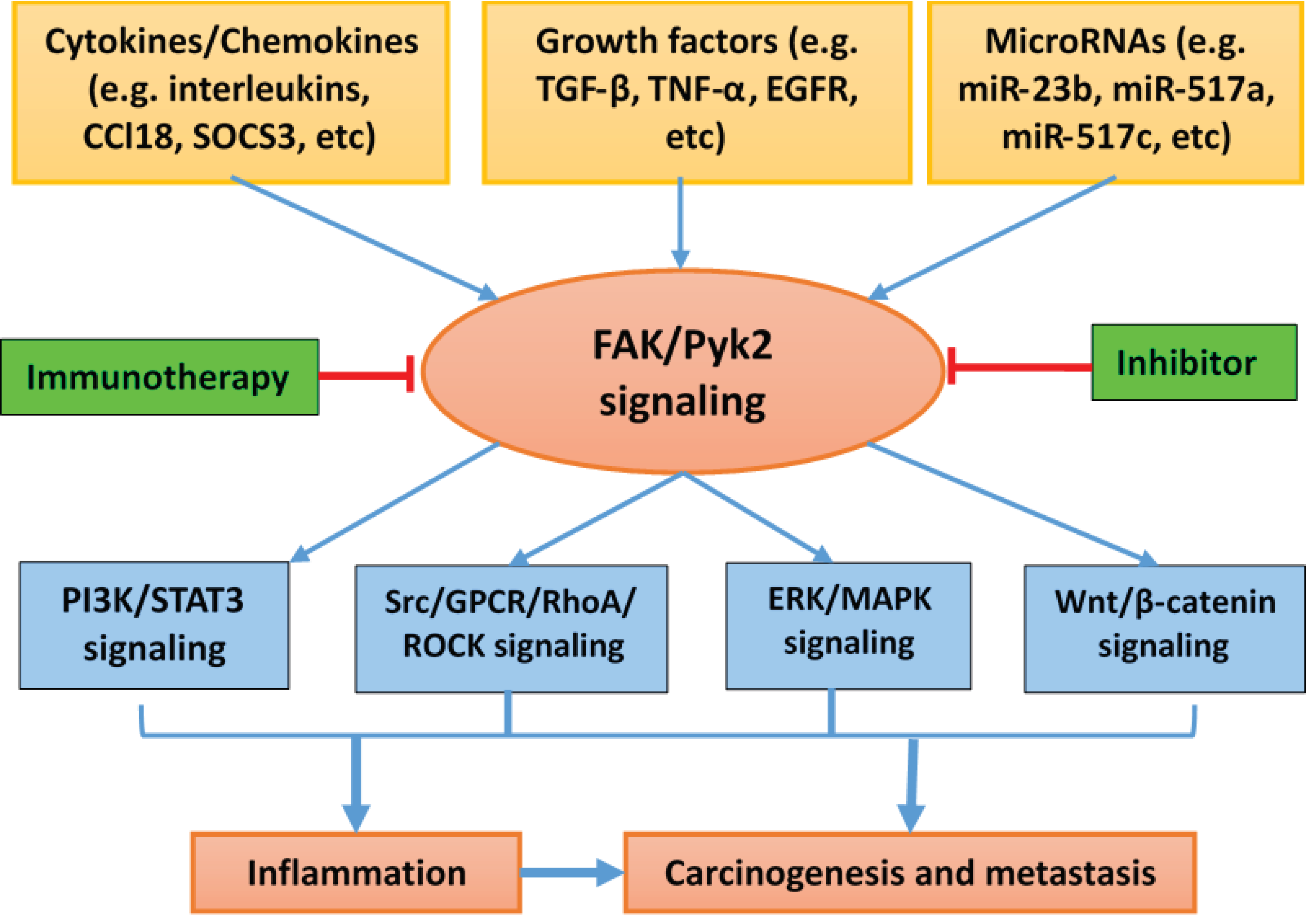 Decoding long non‑coding RNAs: Friends and foes in cancer