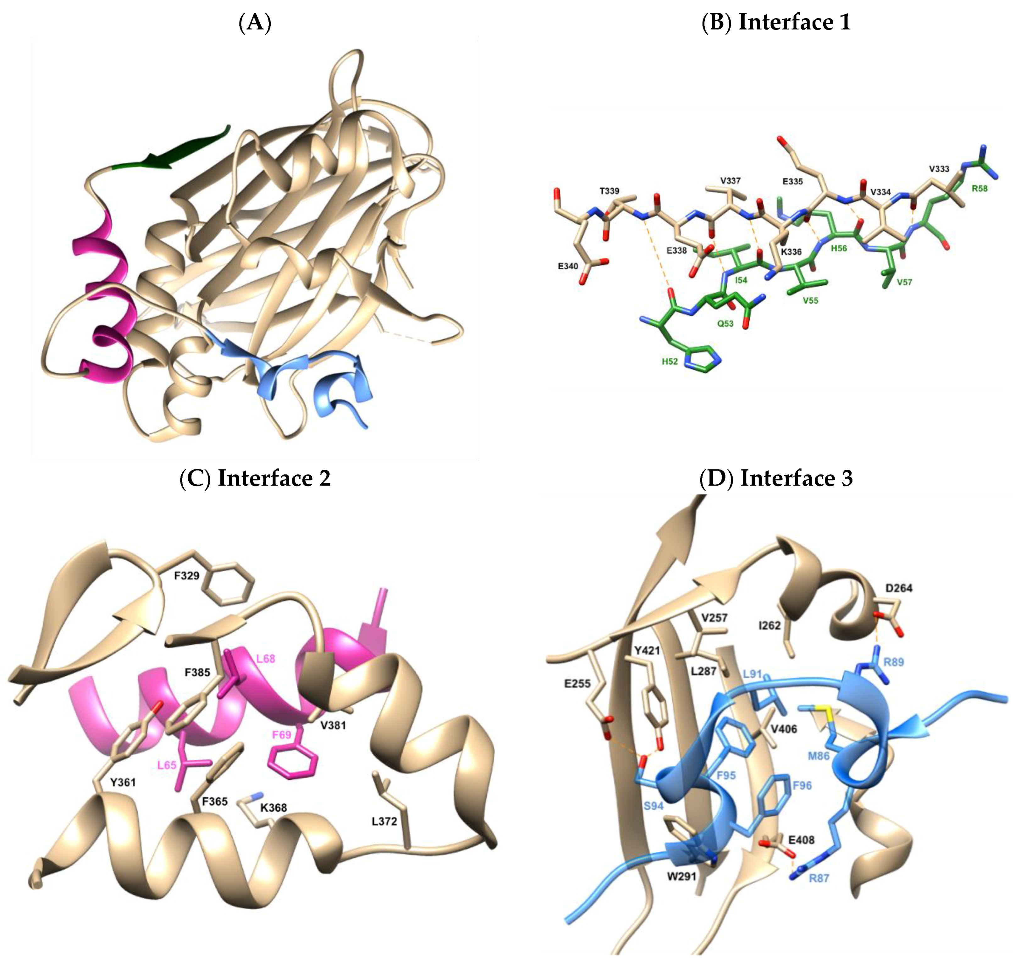 Cancers 10 00140 g001