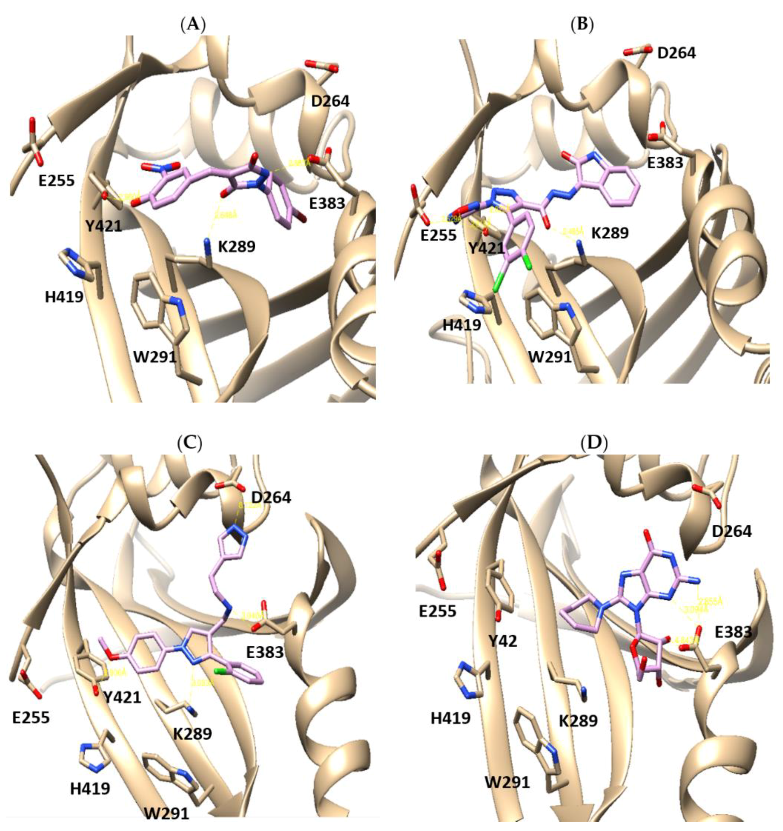 Cancers 10 00140 g003