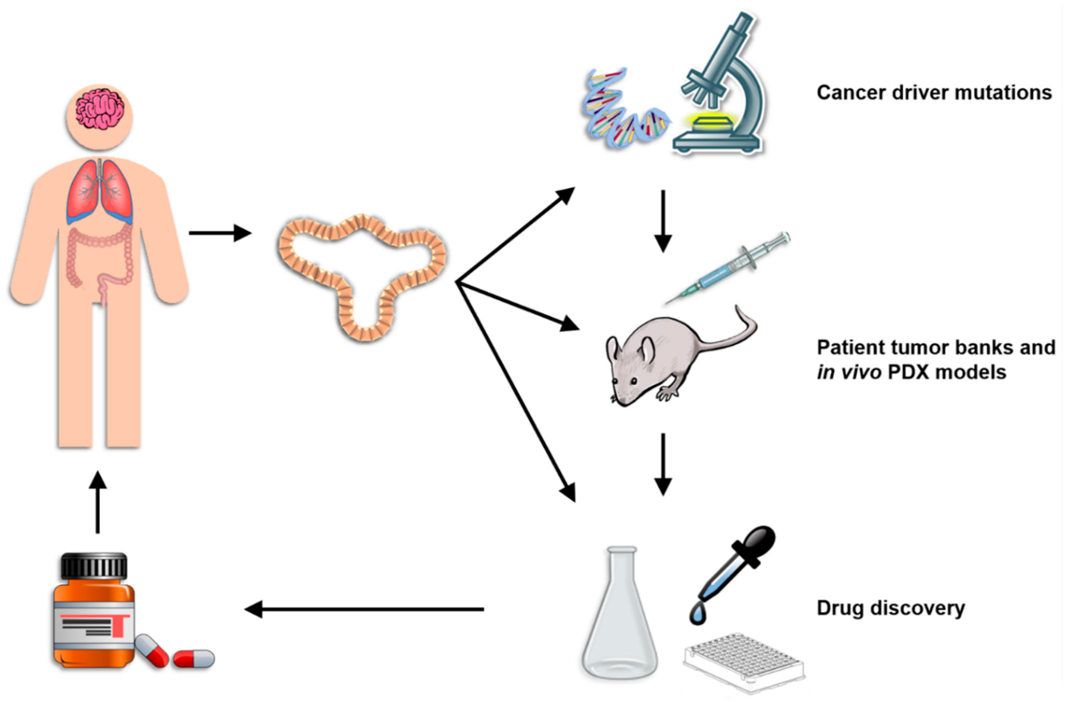 Cancers 10 00151 g002 Cancers 10 00151 g002