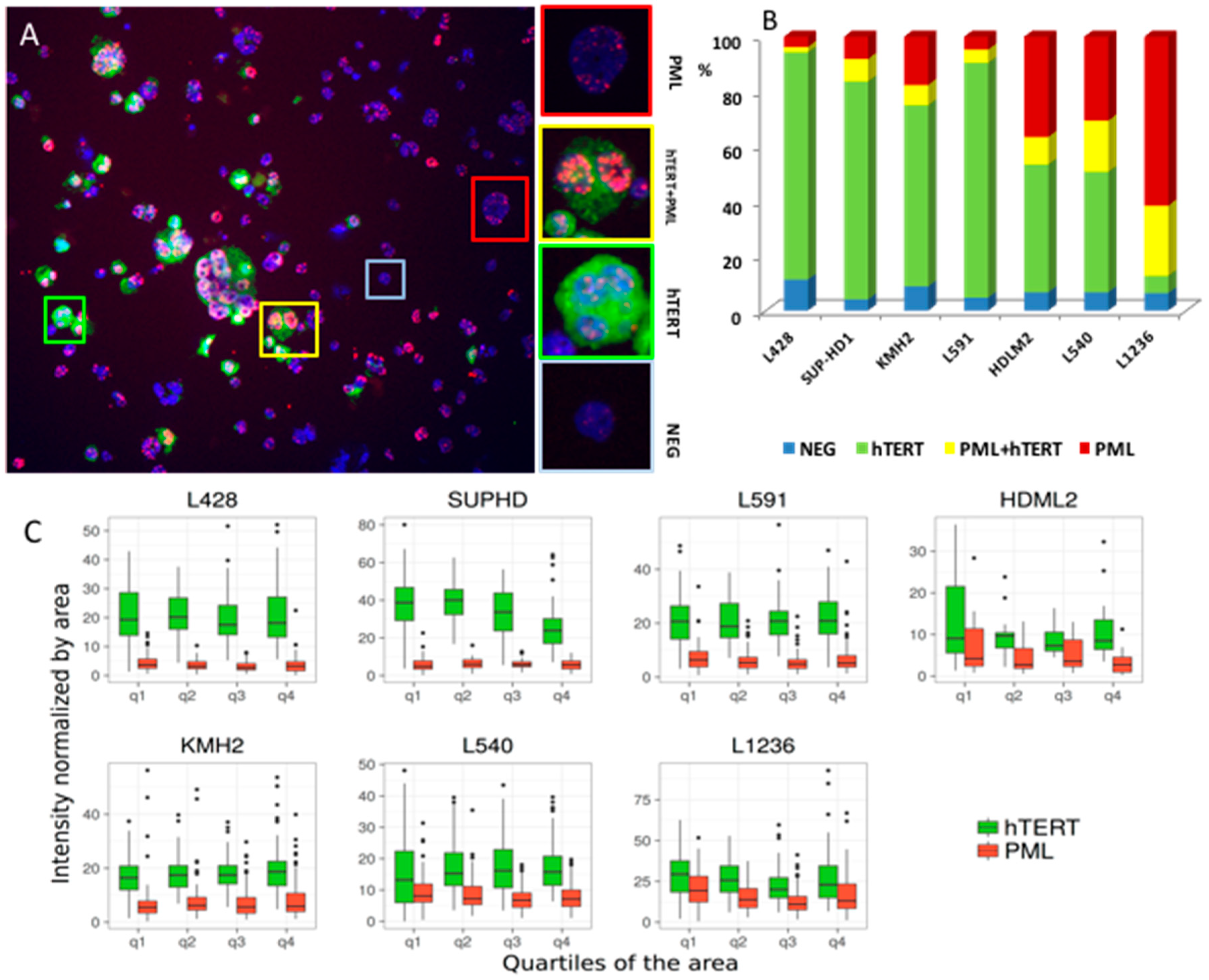 Cancers 10 00169 g003