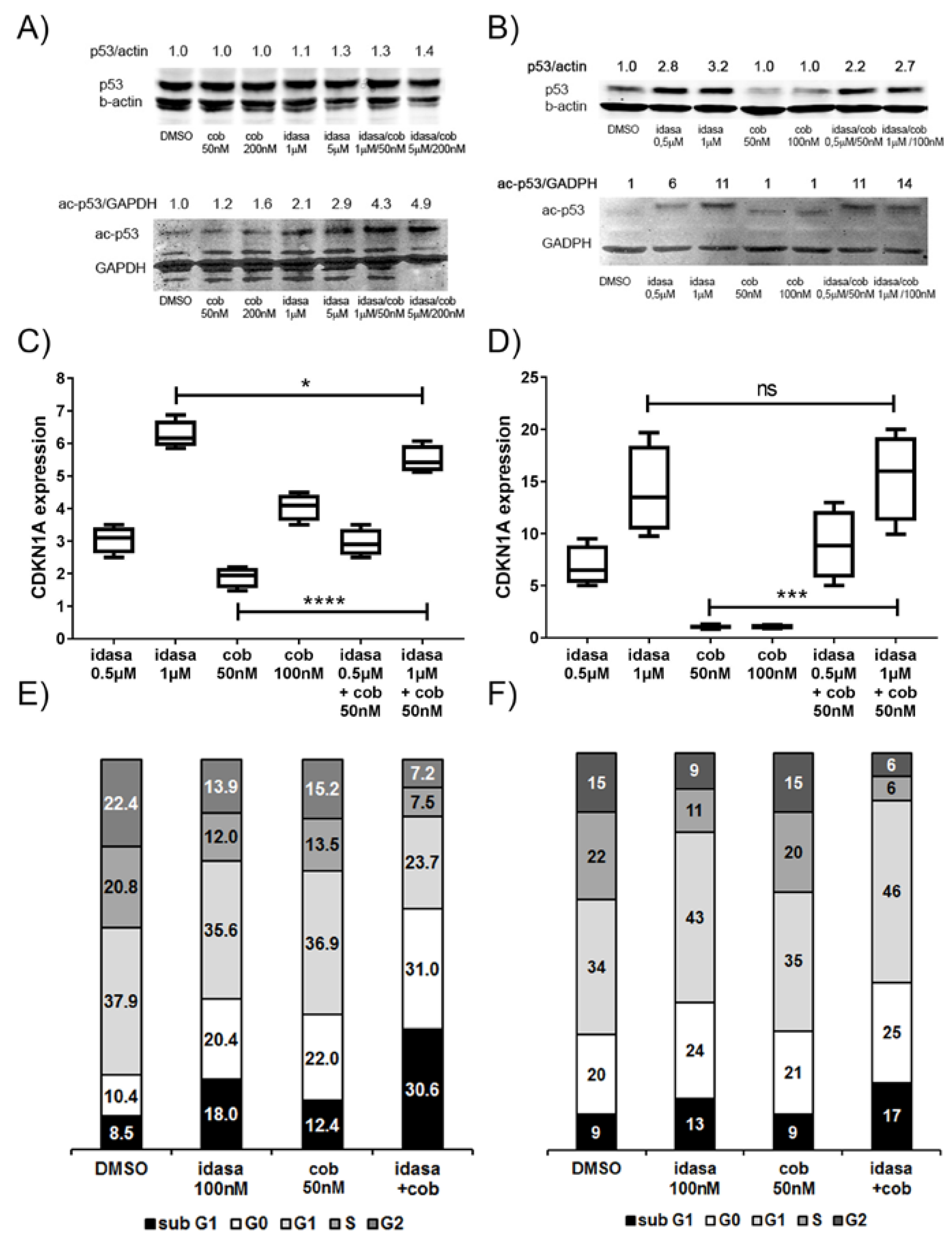 Cancers 10 00170 g002