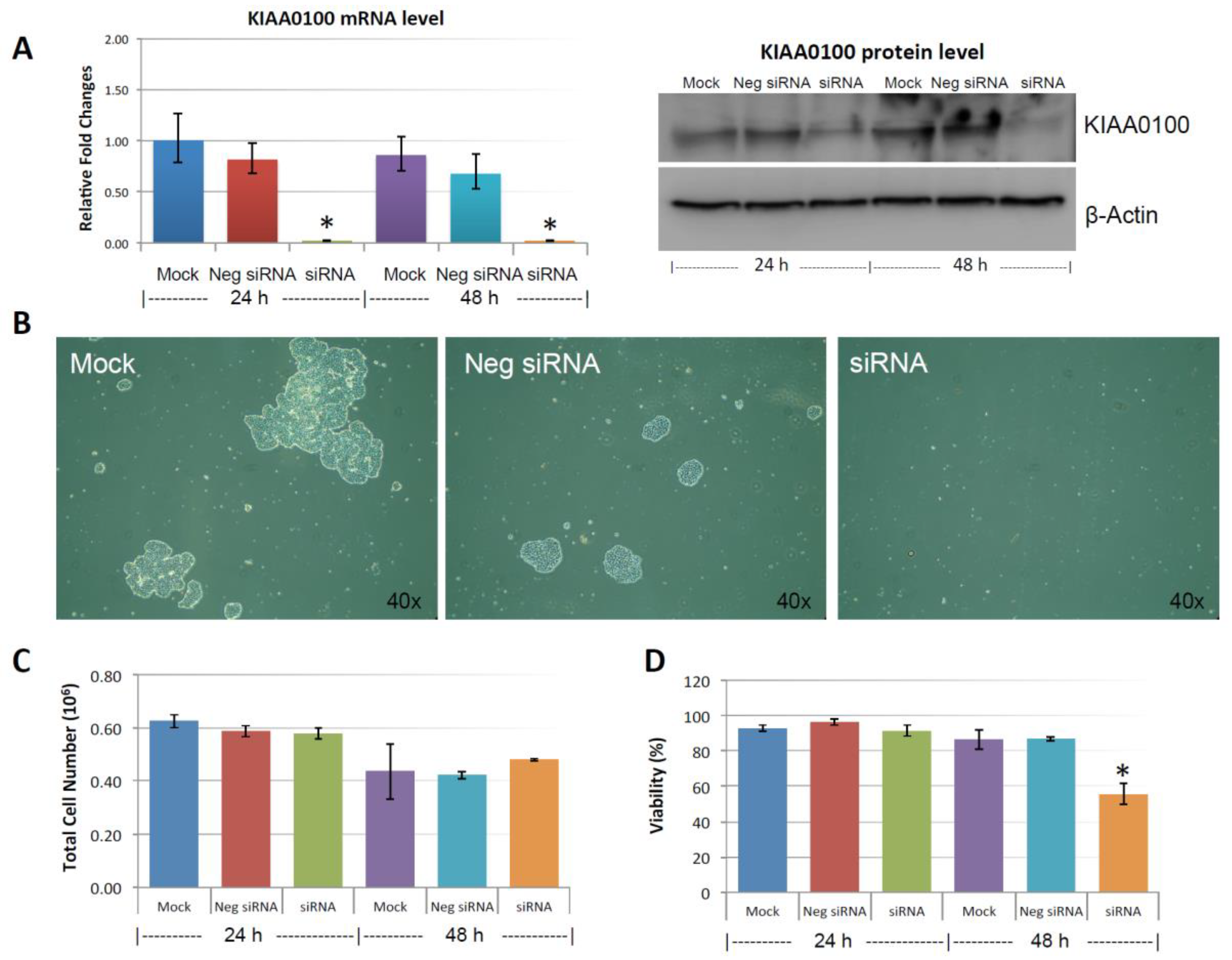 Cancers 10 00180 g003 Cancers 10 00180 g003