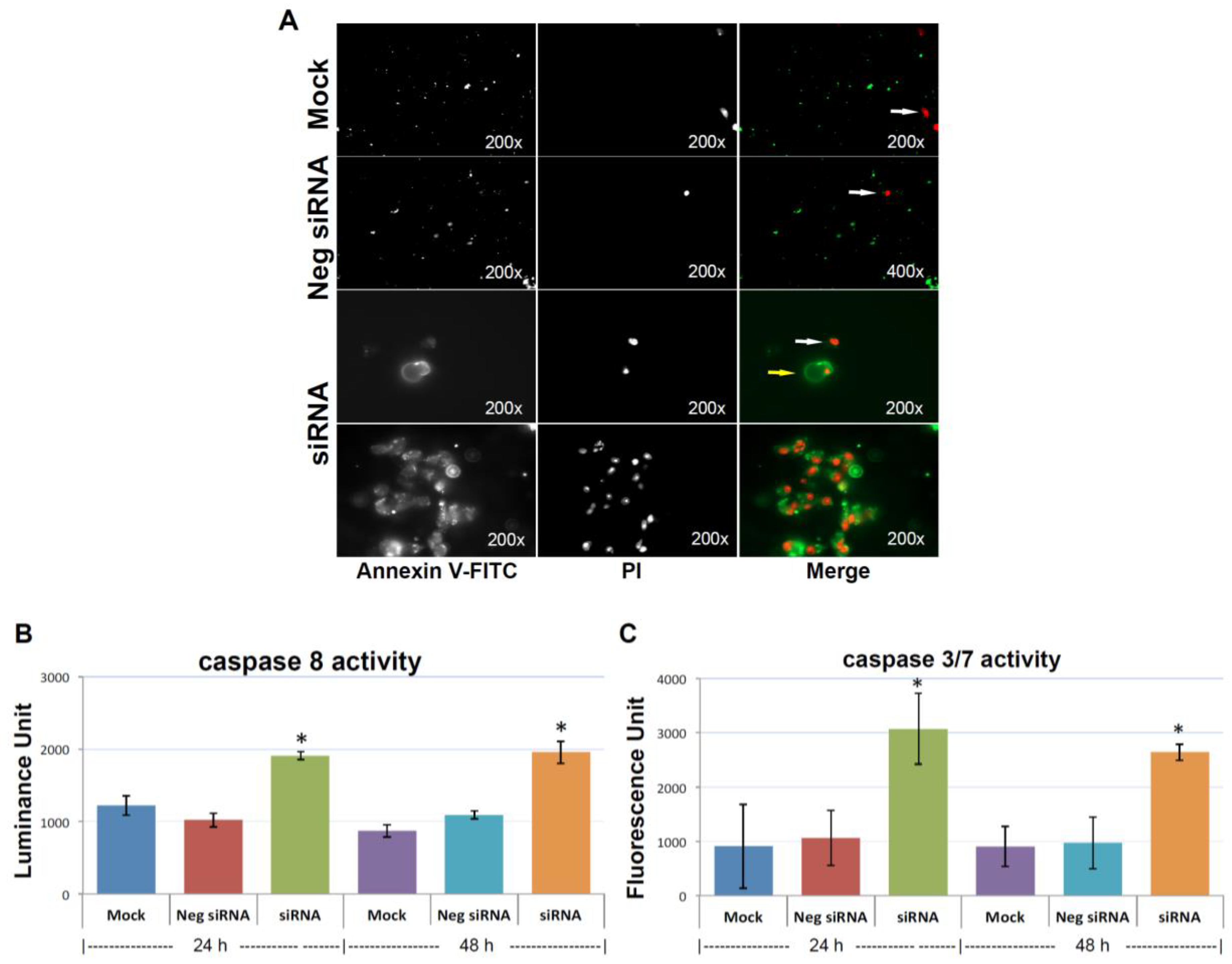 Cancers 10 00180 g005 Cancers 10 00180 g005