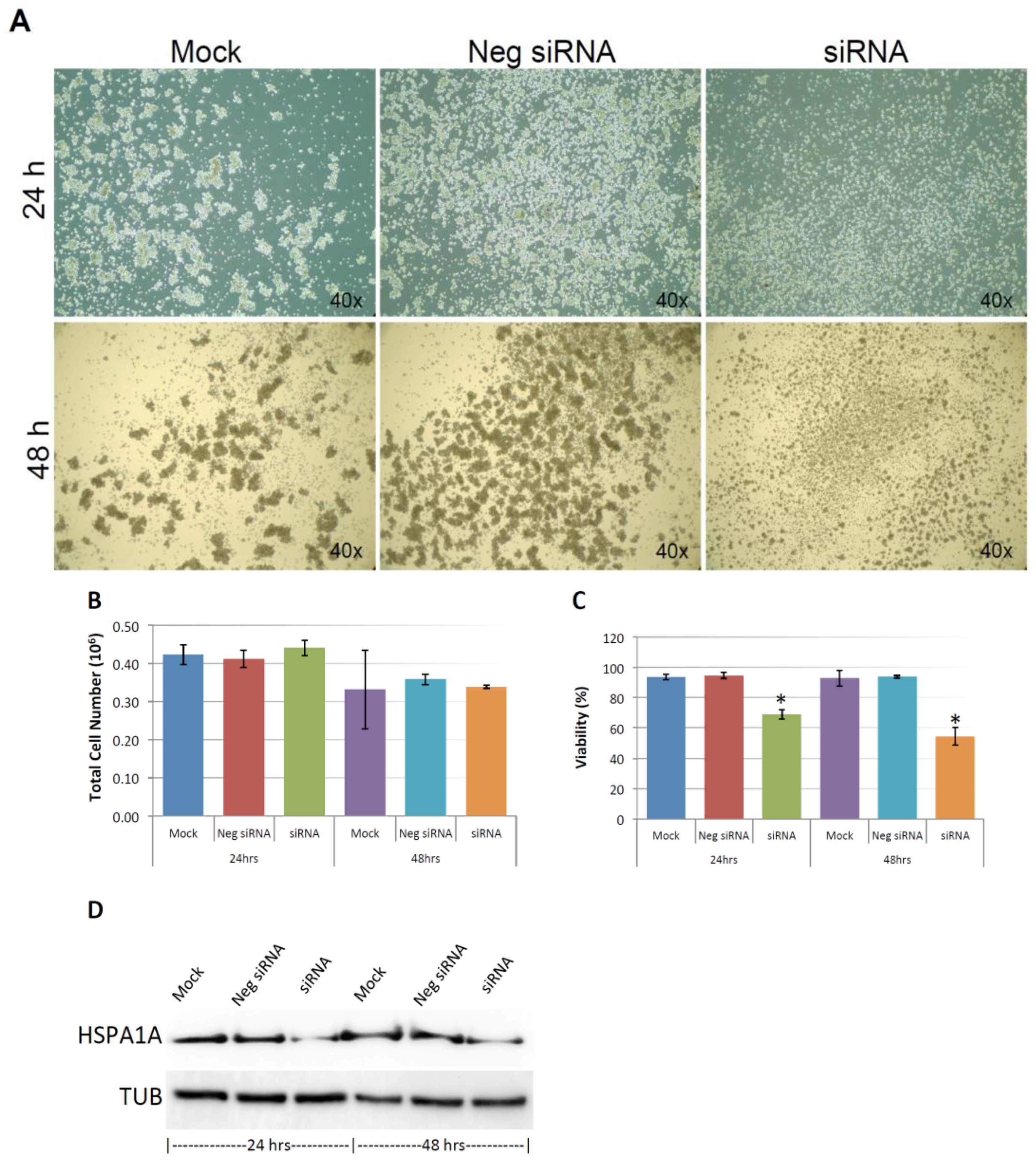 Cancers 10 00180 g009 Cancers 10 00180 g009