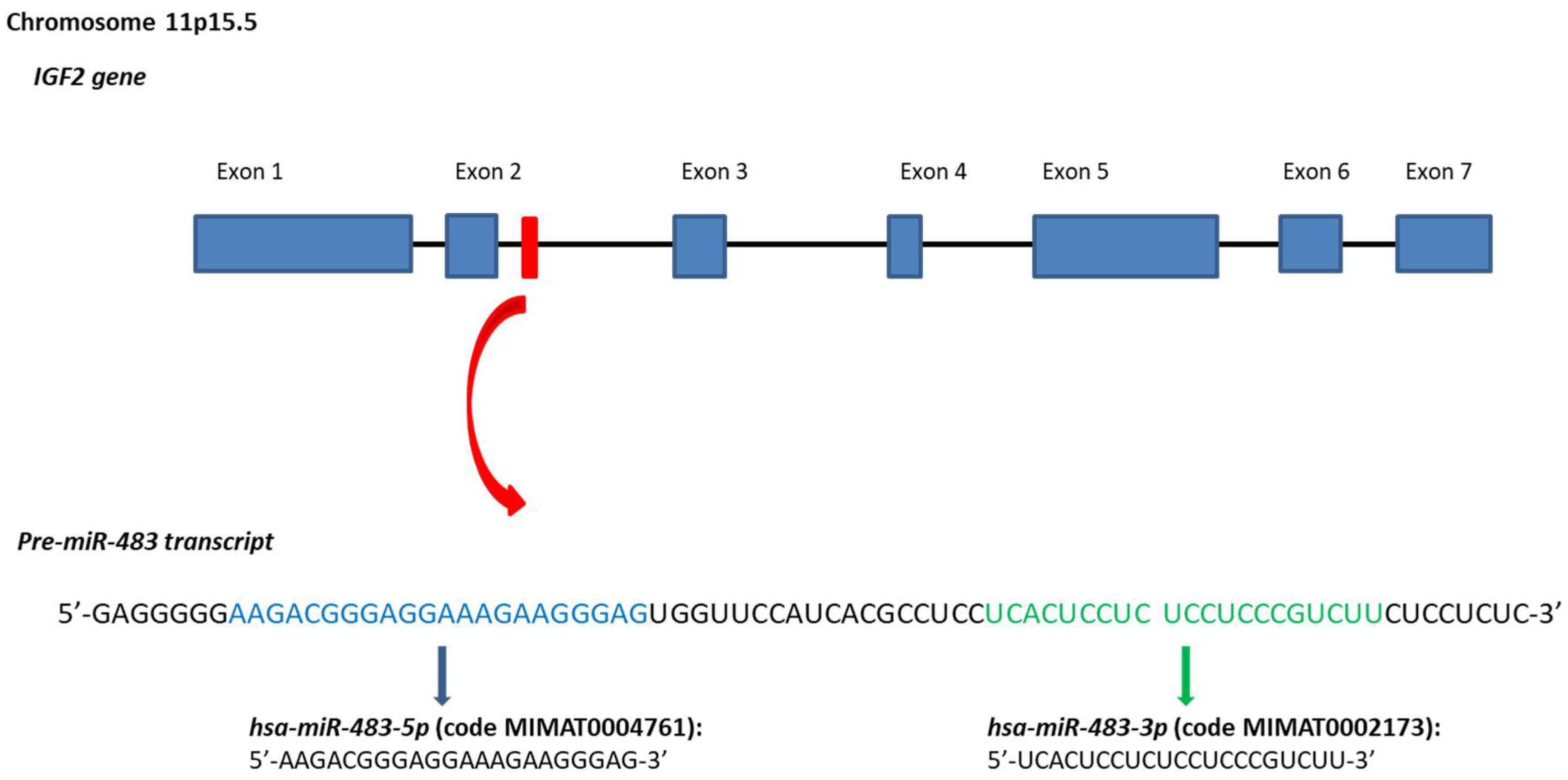 Cancers 10 00181 g001 Cancers 10 00181 g001