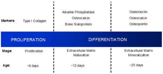 Cancer Metastases to Bone: Concepts, Mechanisms, and Interactions