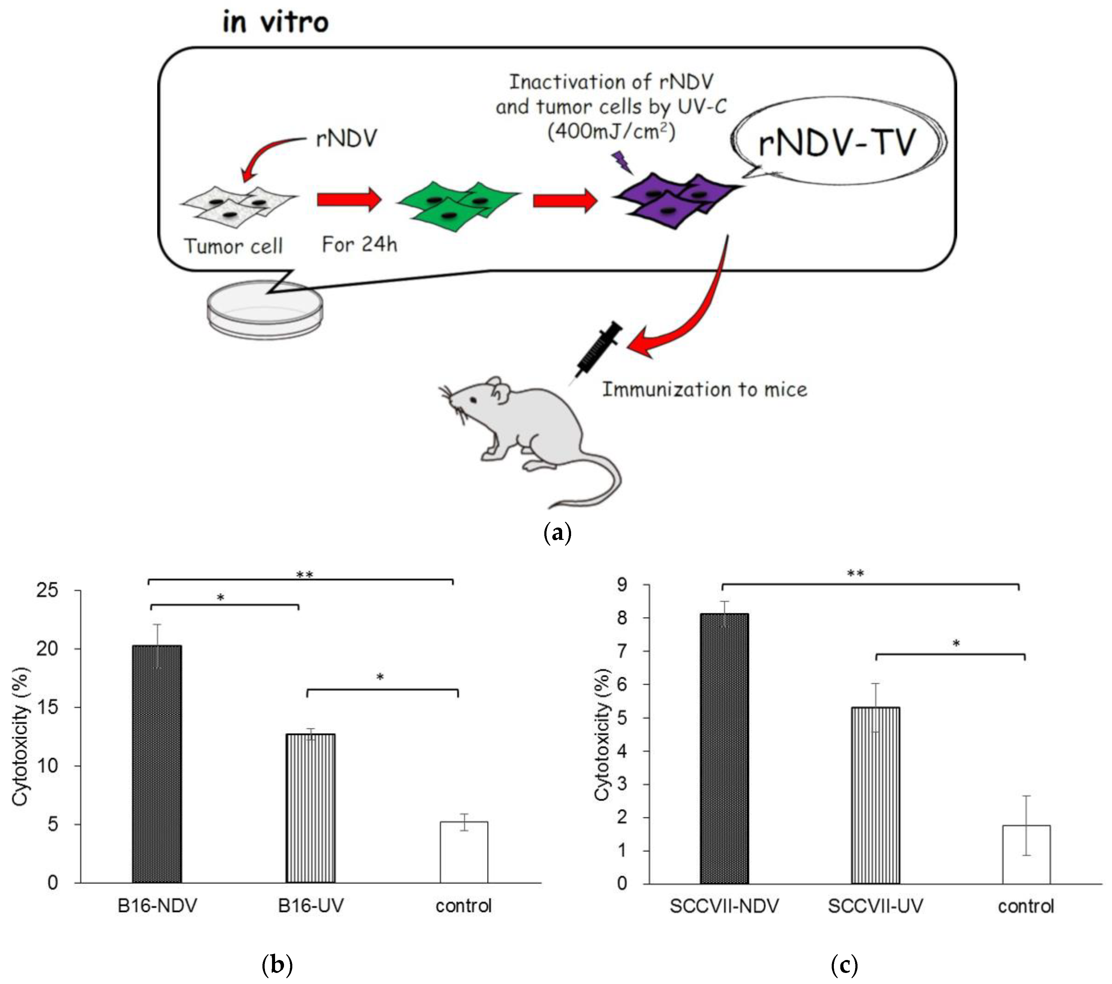 Cancers 10 00186 g001
