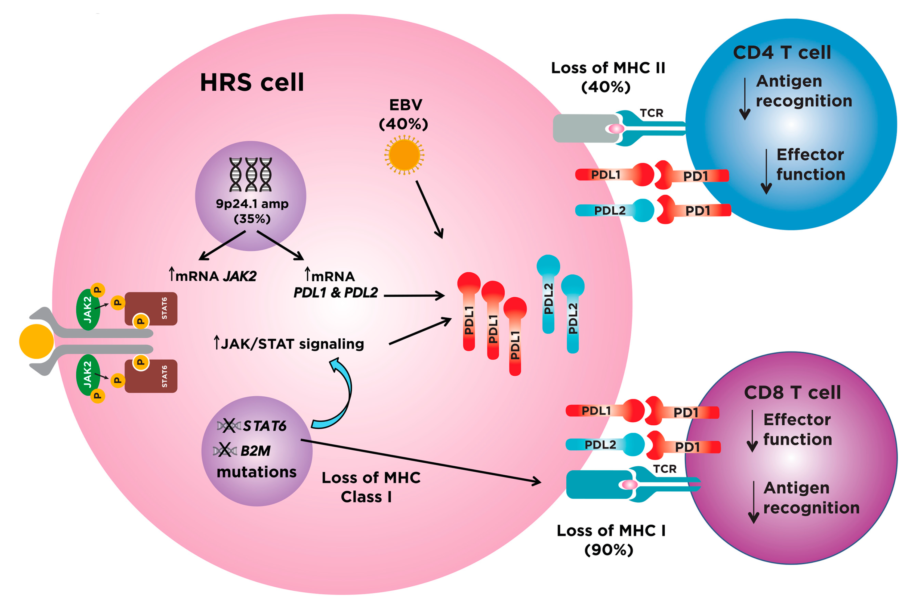 The Role of Immune Checkpoint Inhibitors in Classical