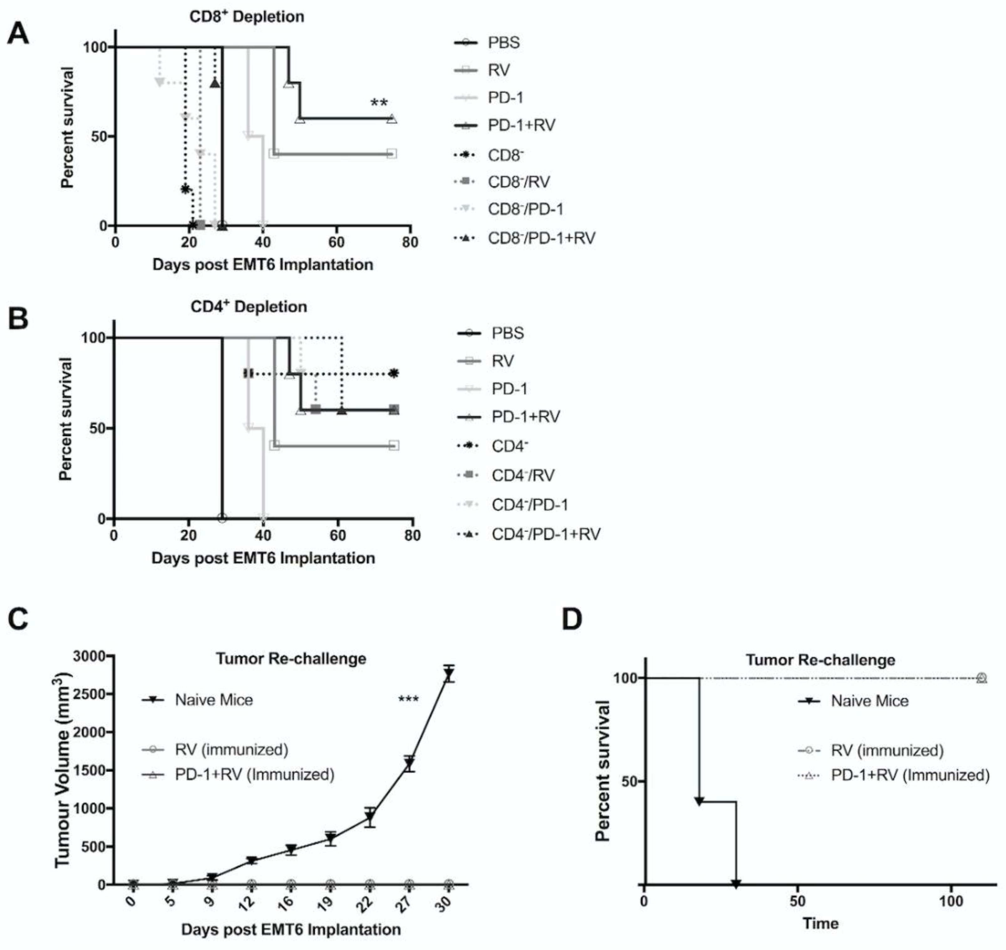 Cancers 10 00205 g006 Cancers 10 00205 g006