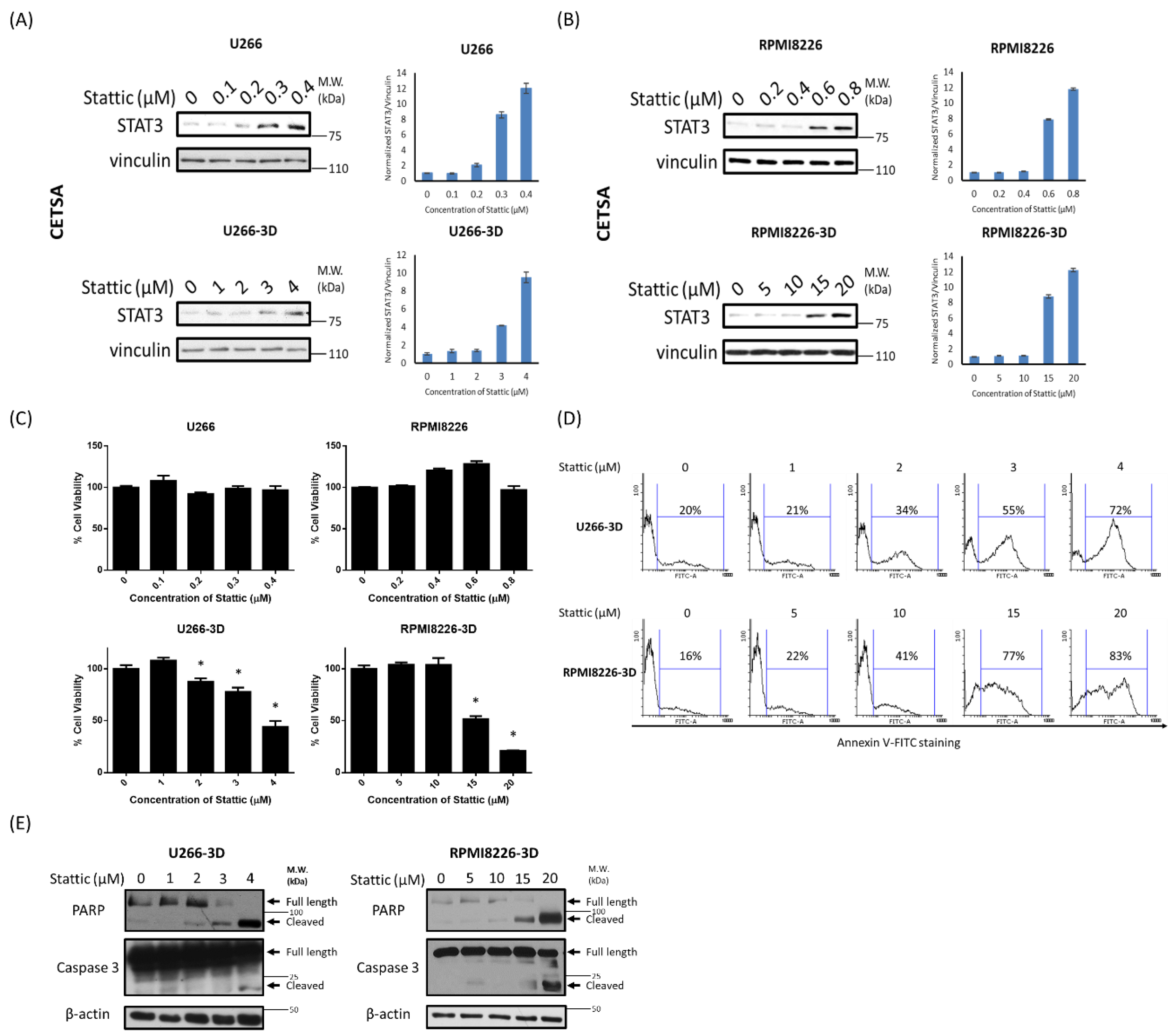 Cancers 10 00206 g004