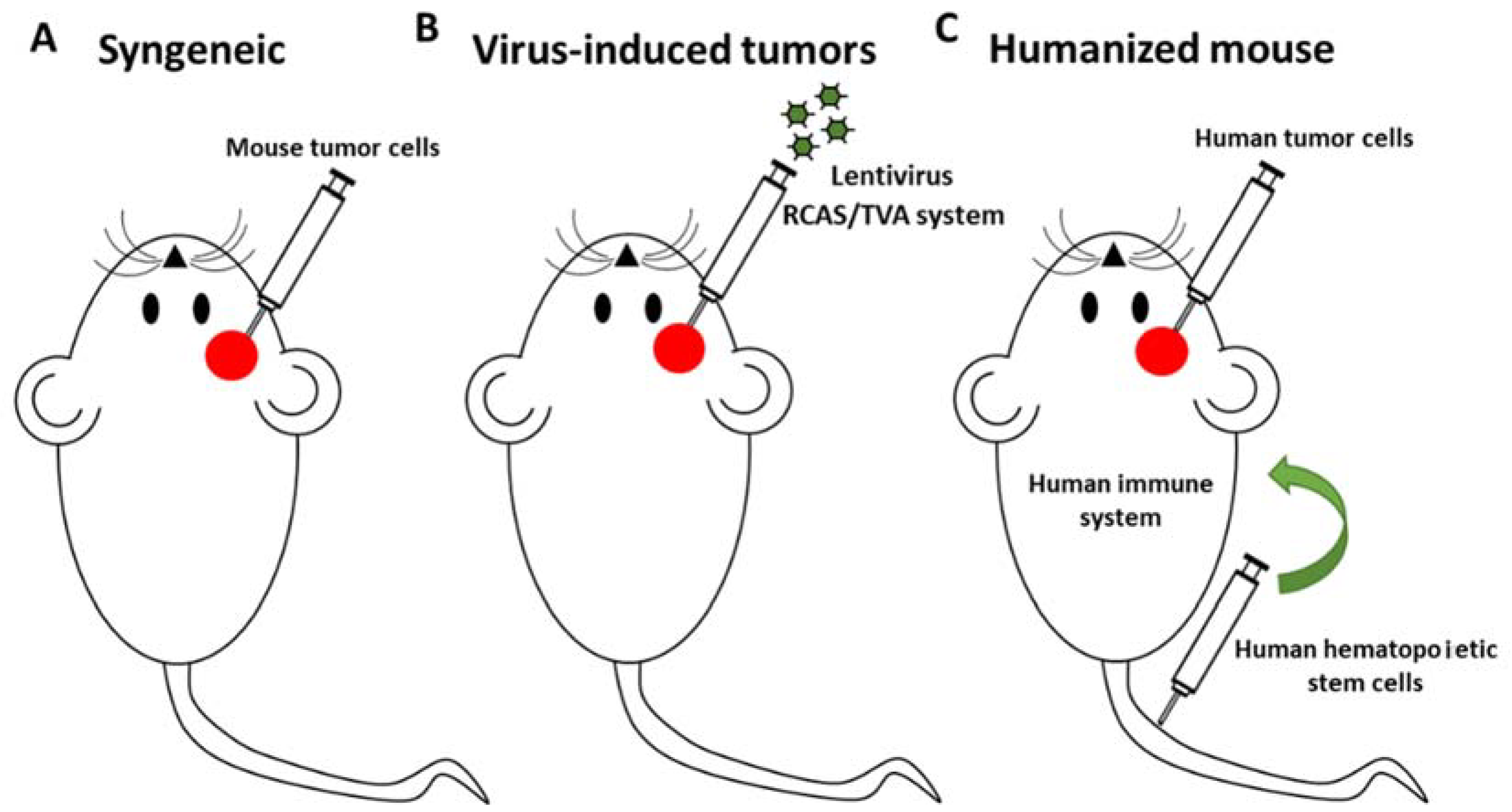 Cancers 10 00226 g002 Cancers 10 00226 g002