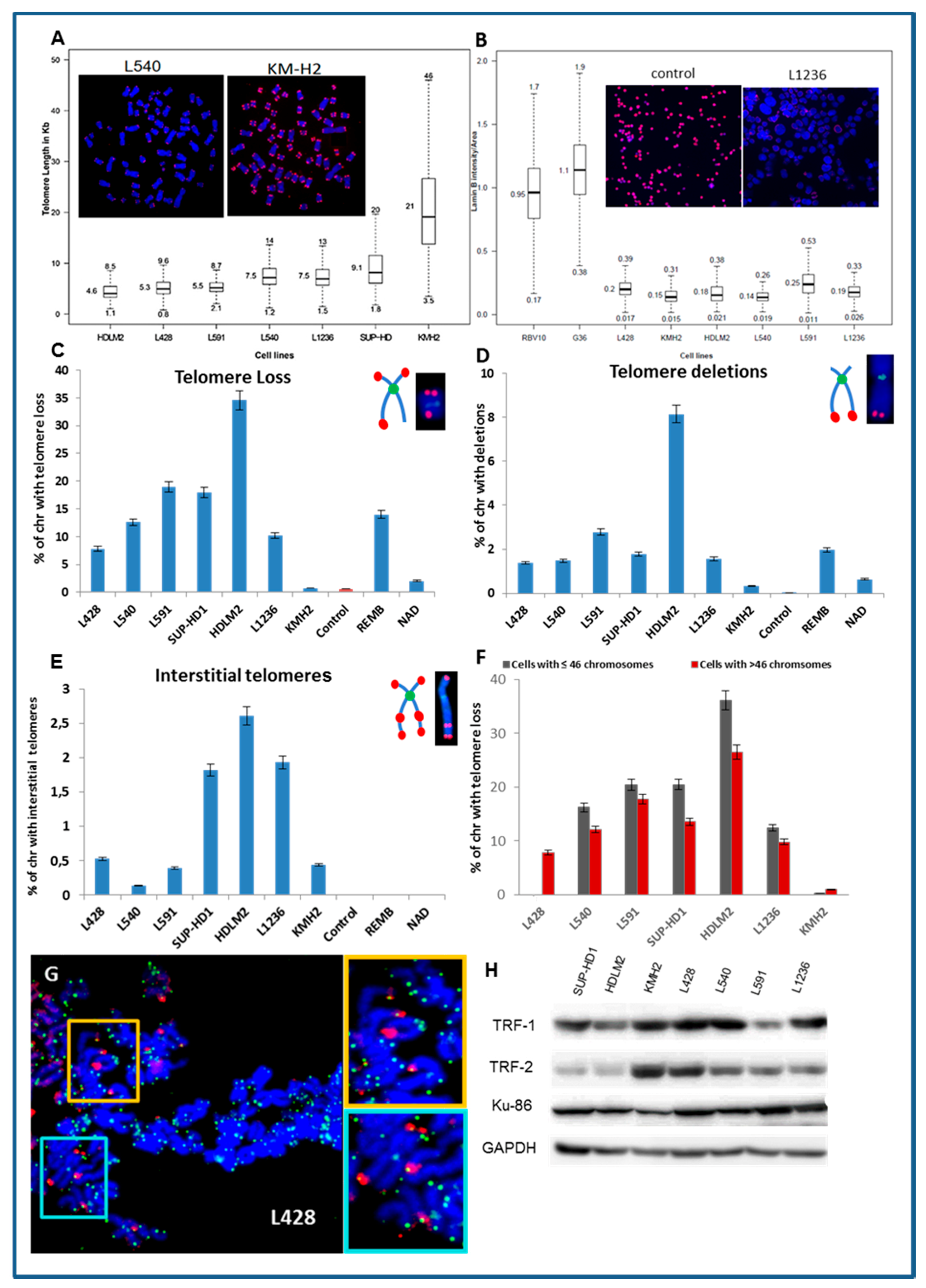 Cancers 10 00233 g001