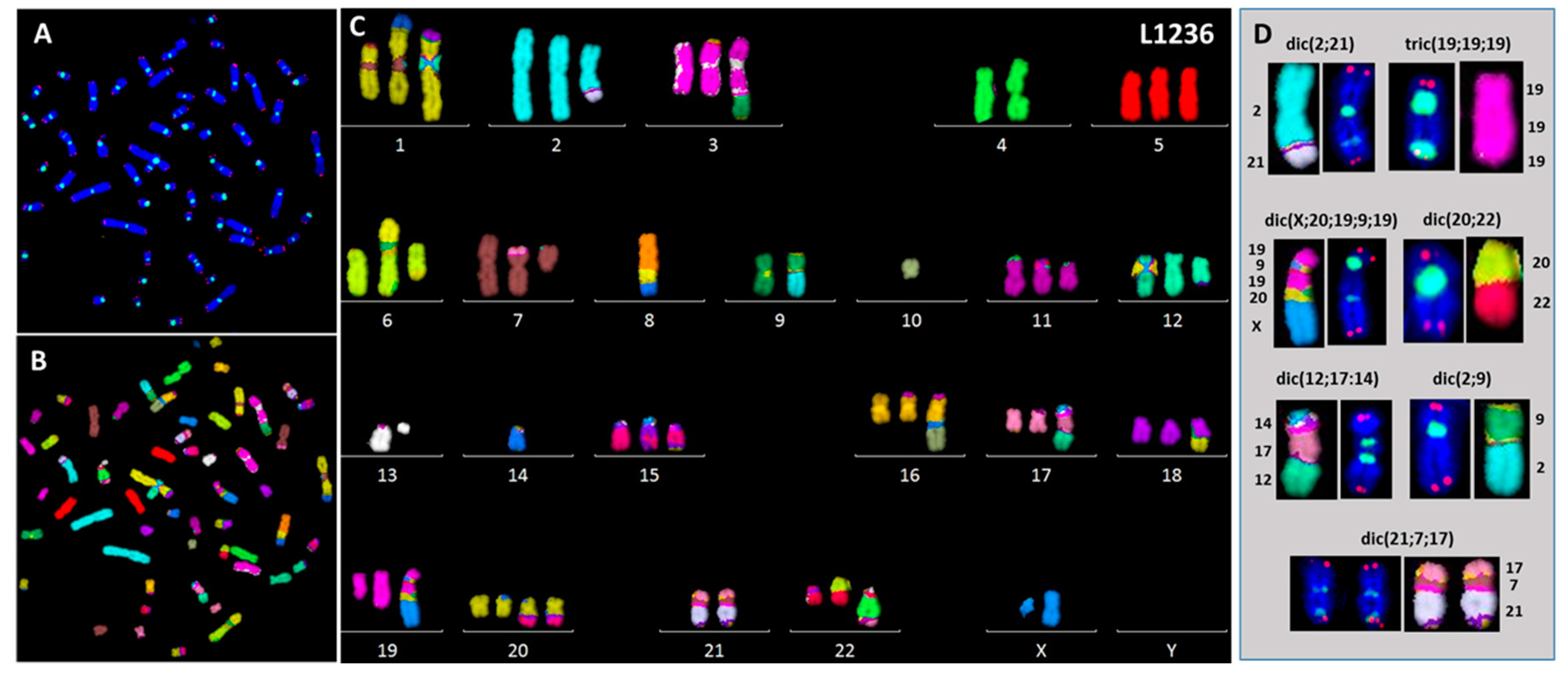 Cancers 10 00233 g005