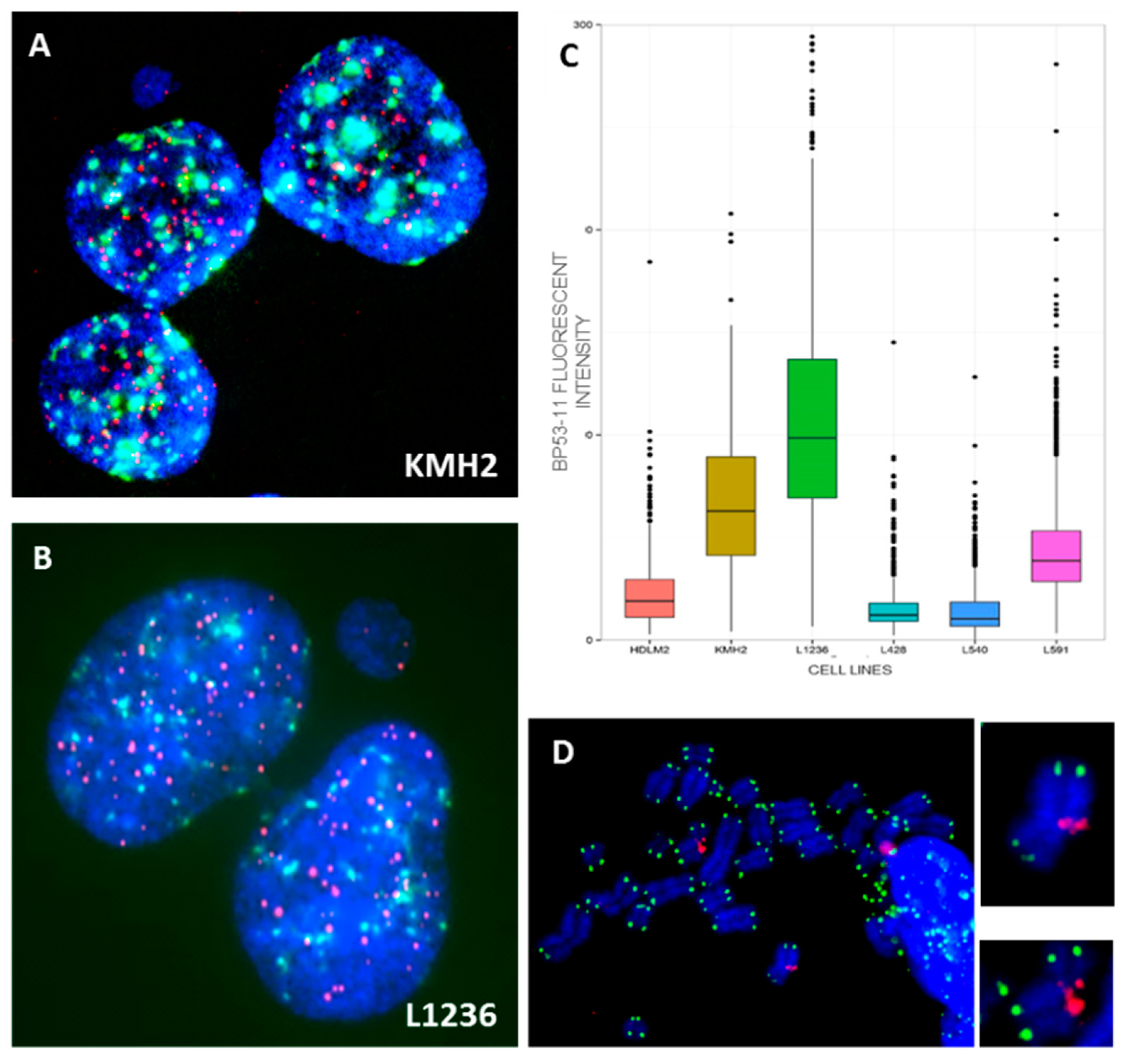 Cancers 10 00233 g007