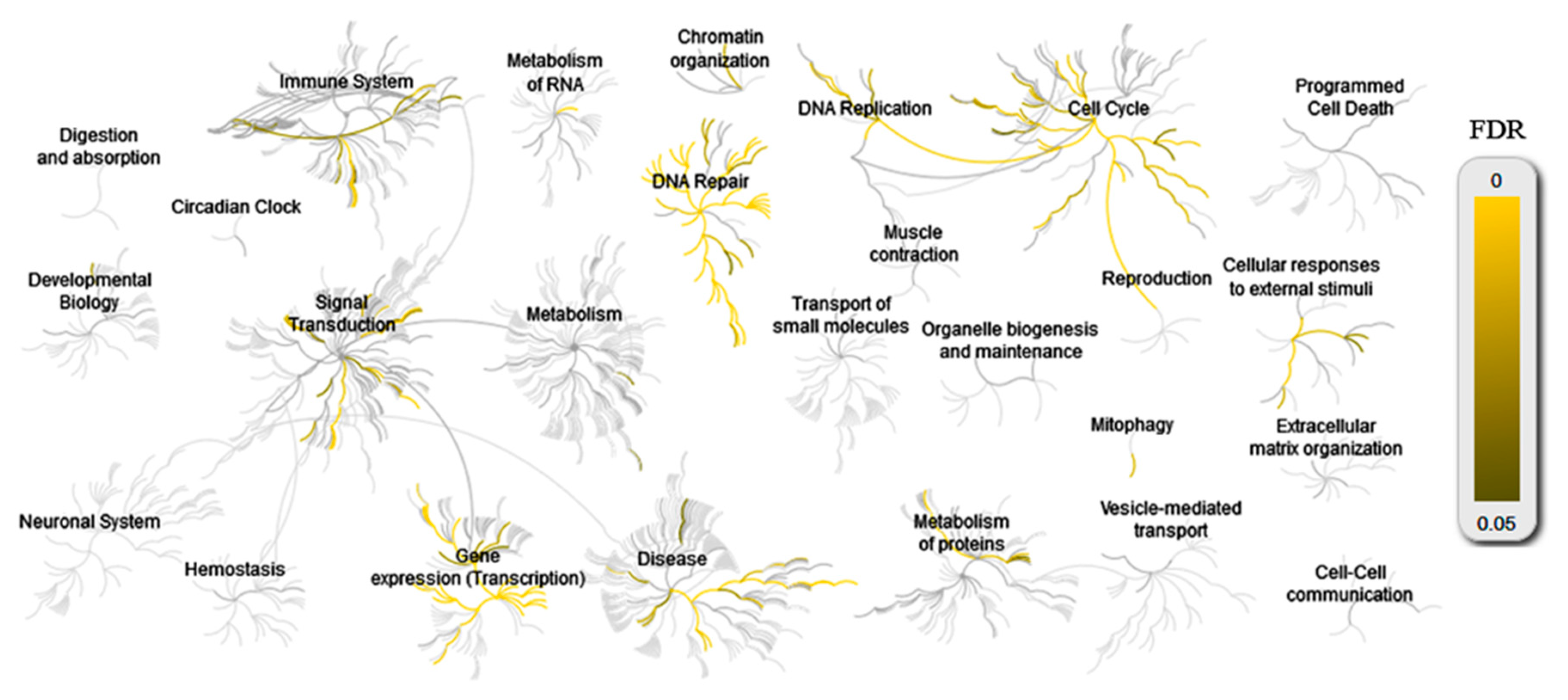Cancers 10 00233 g011