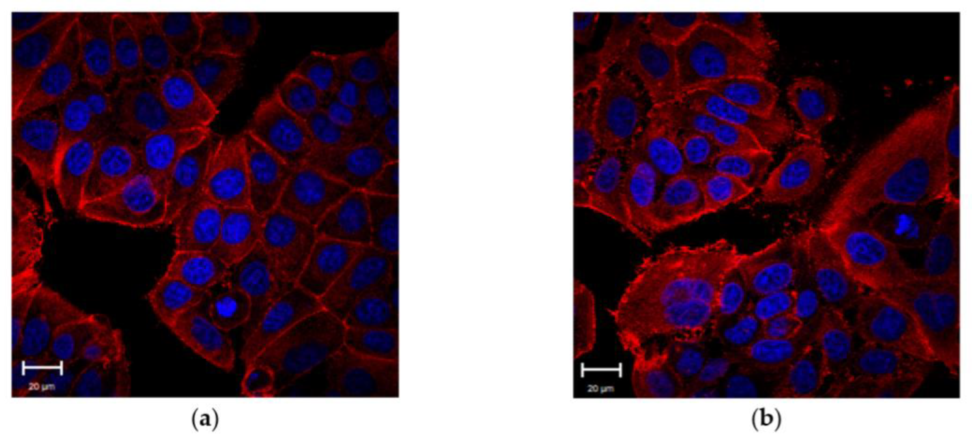 Cancers 10 00234 g002