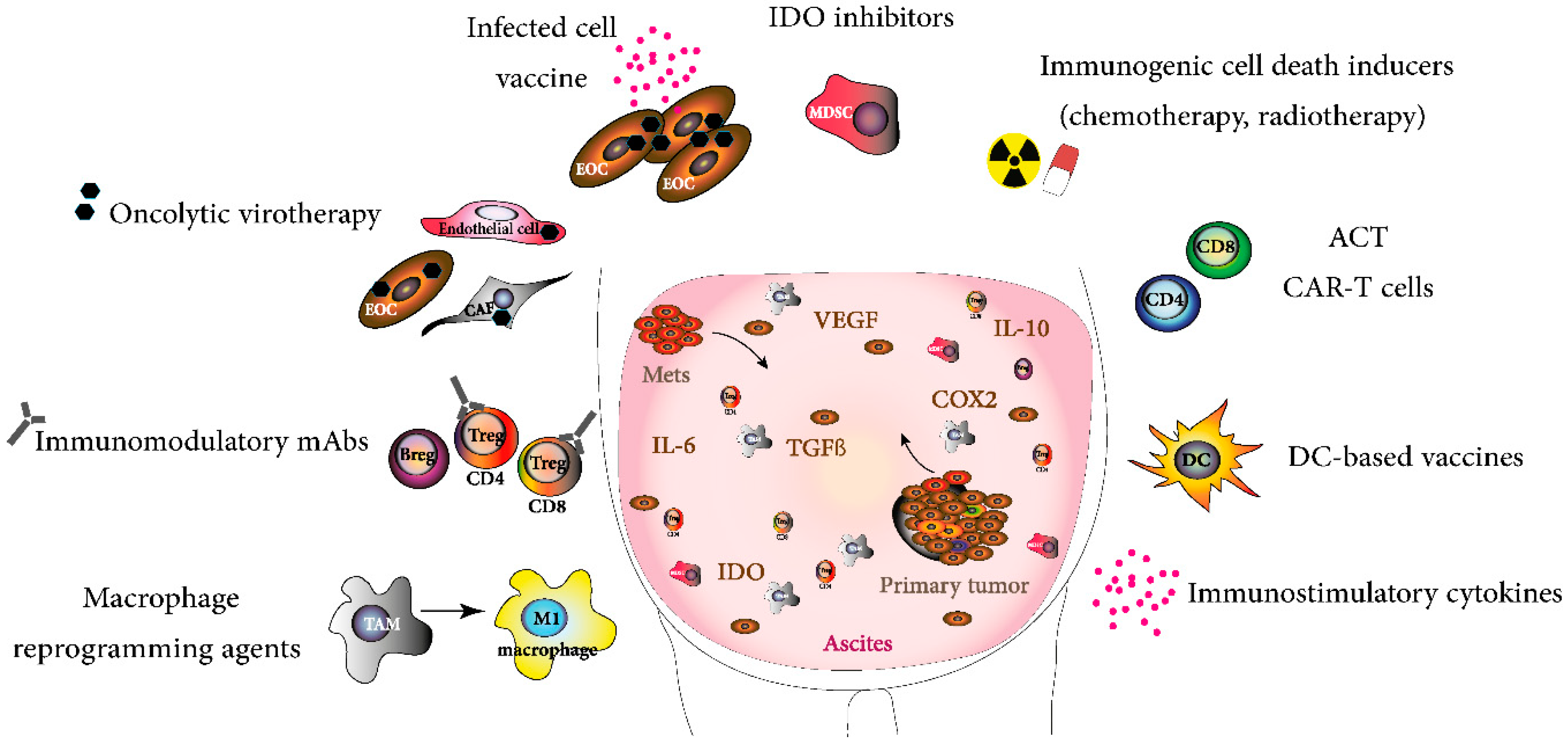 how does papillary thyroid cancer spread