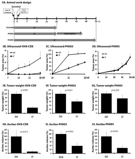 GAN細胞13 LY2157299 Monohydrate, a TGF-βR1 Inhibitor, Suppresses Tumor