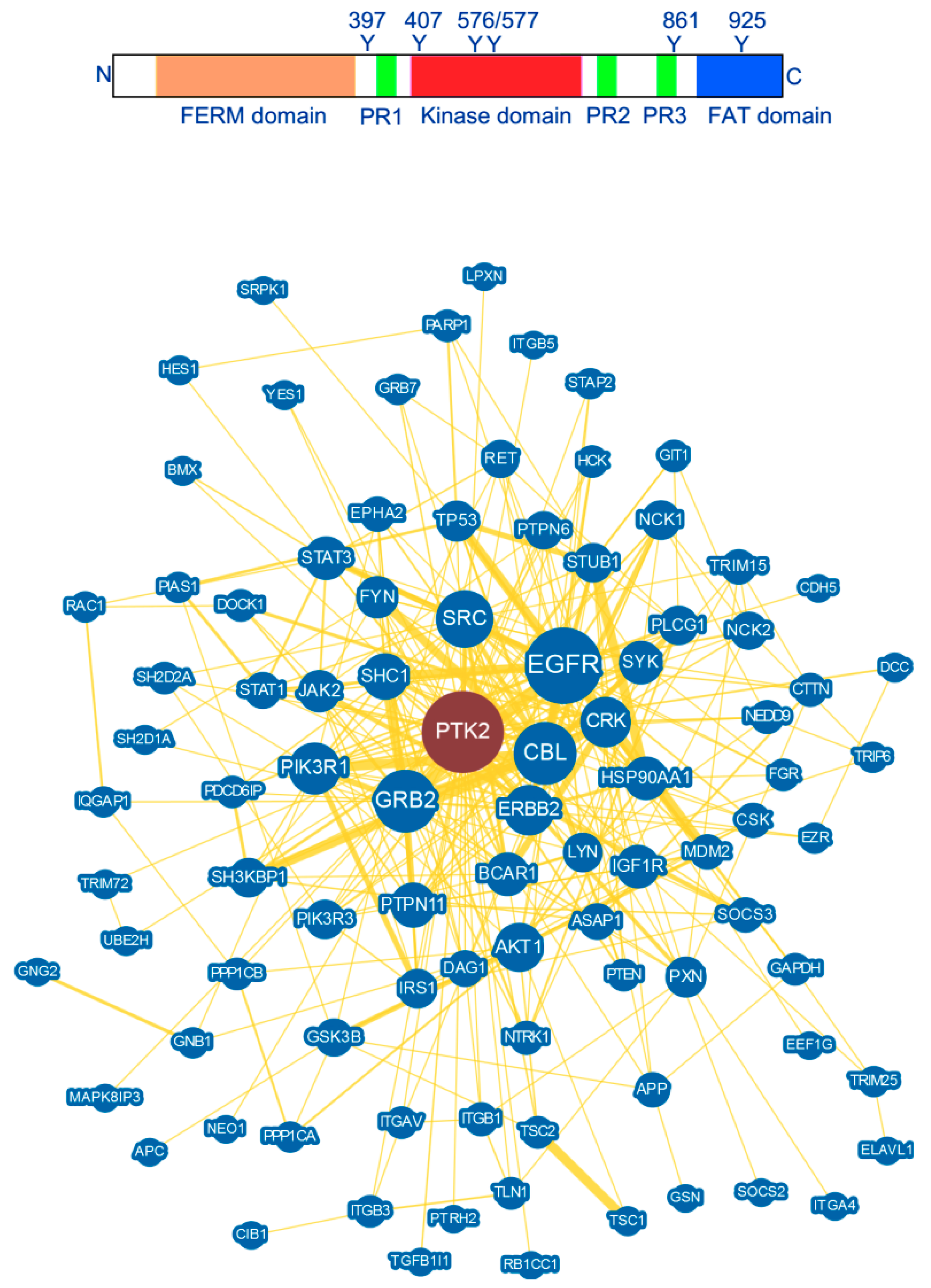 Cancers 10 00278 g001 Cancers 10 00278 g001