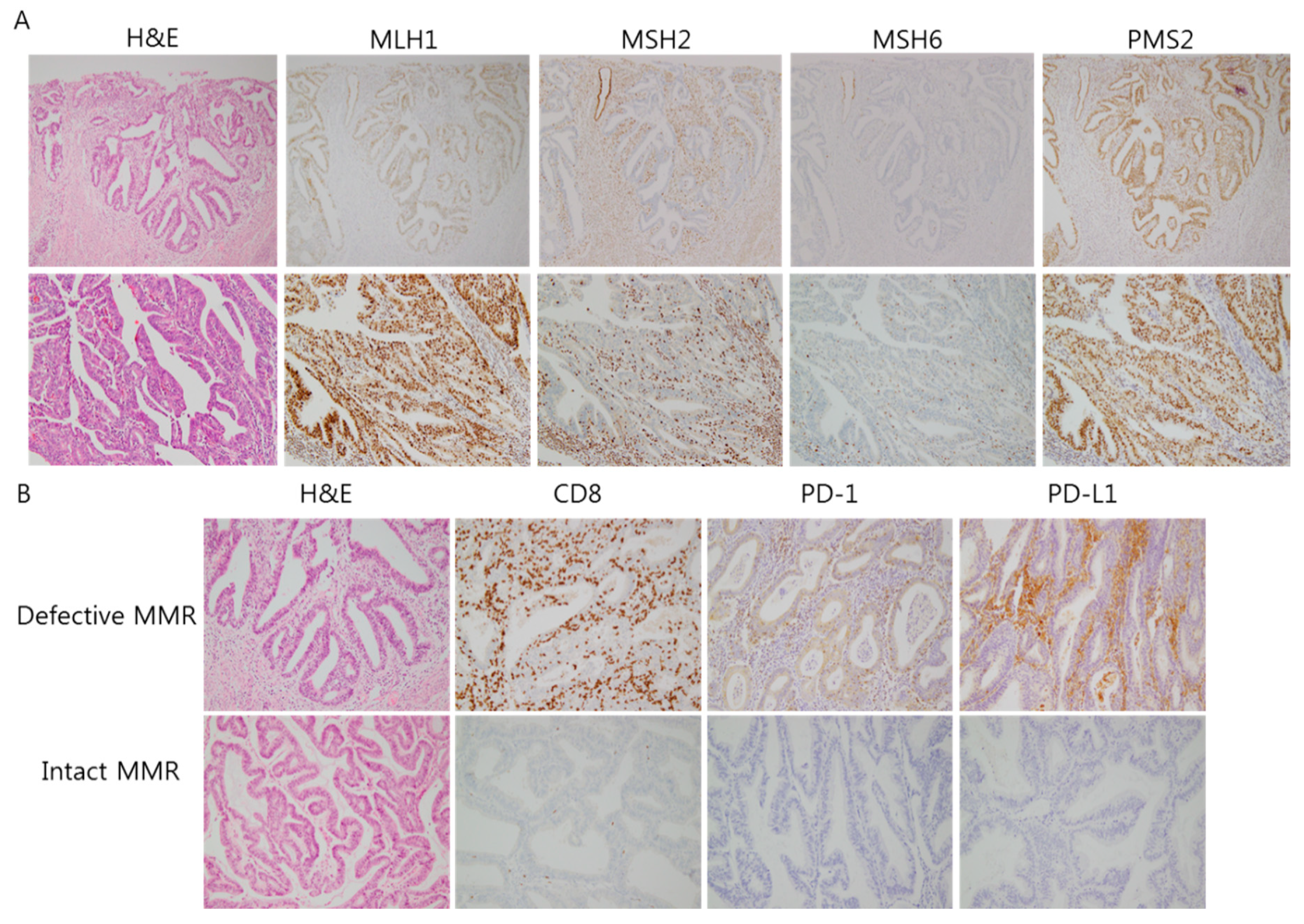 Cancers 10 00279 g001