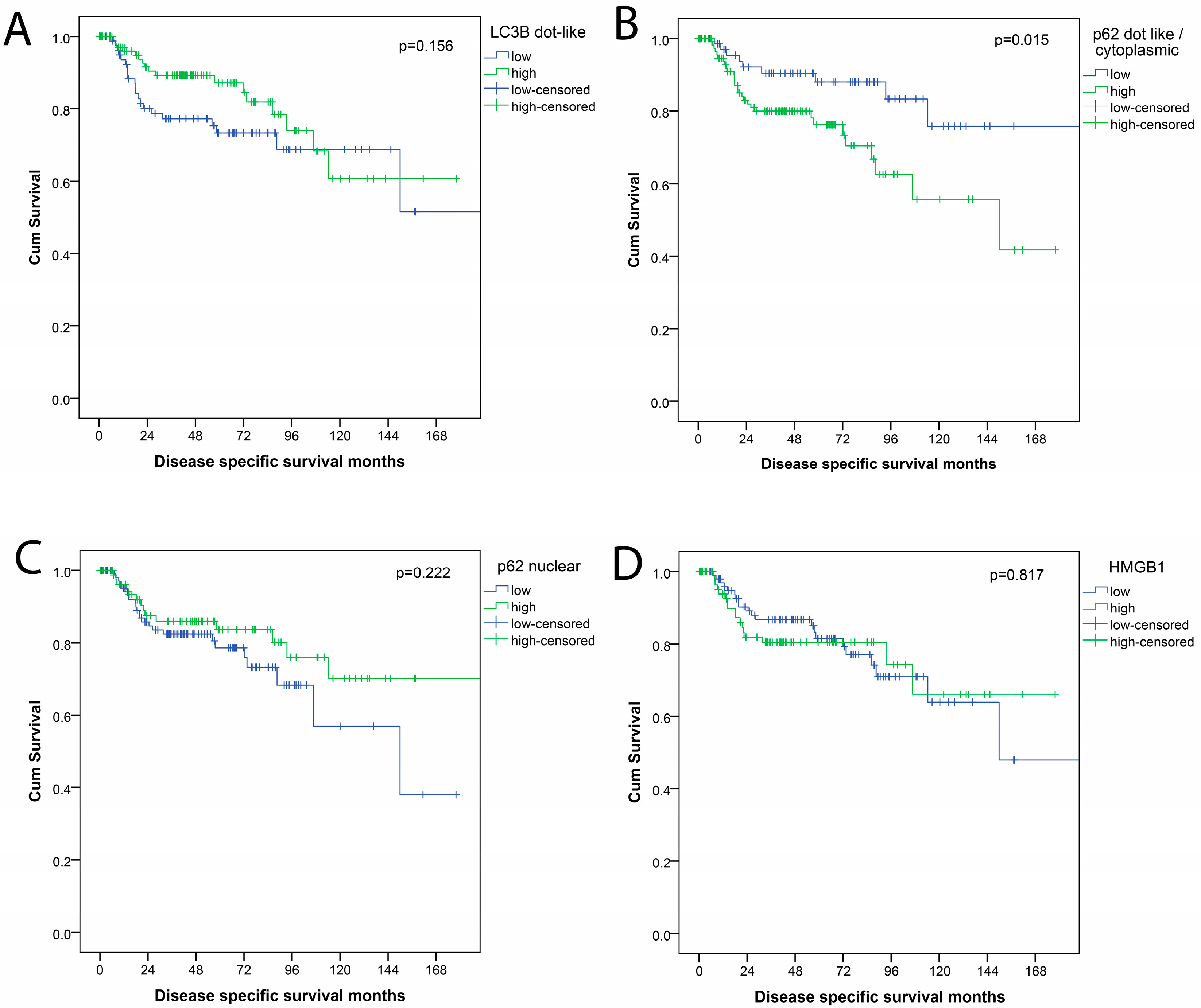 Cancers 10 00281 g003