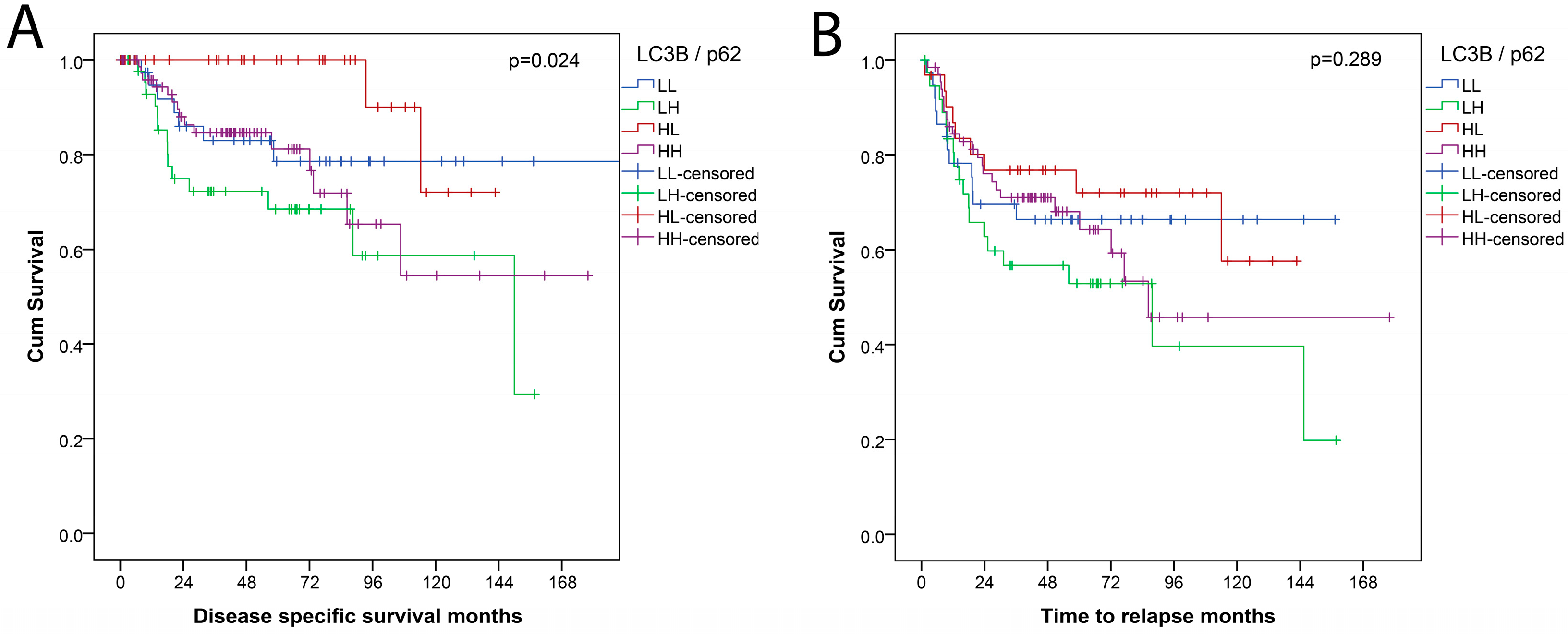 Cancers 10 00281 g004