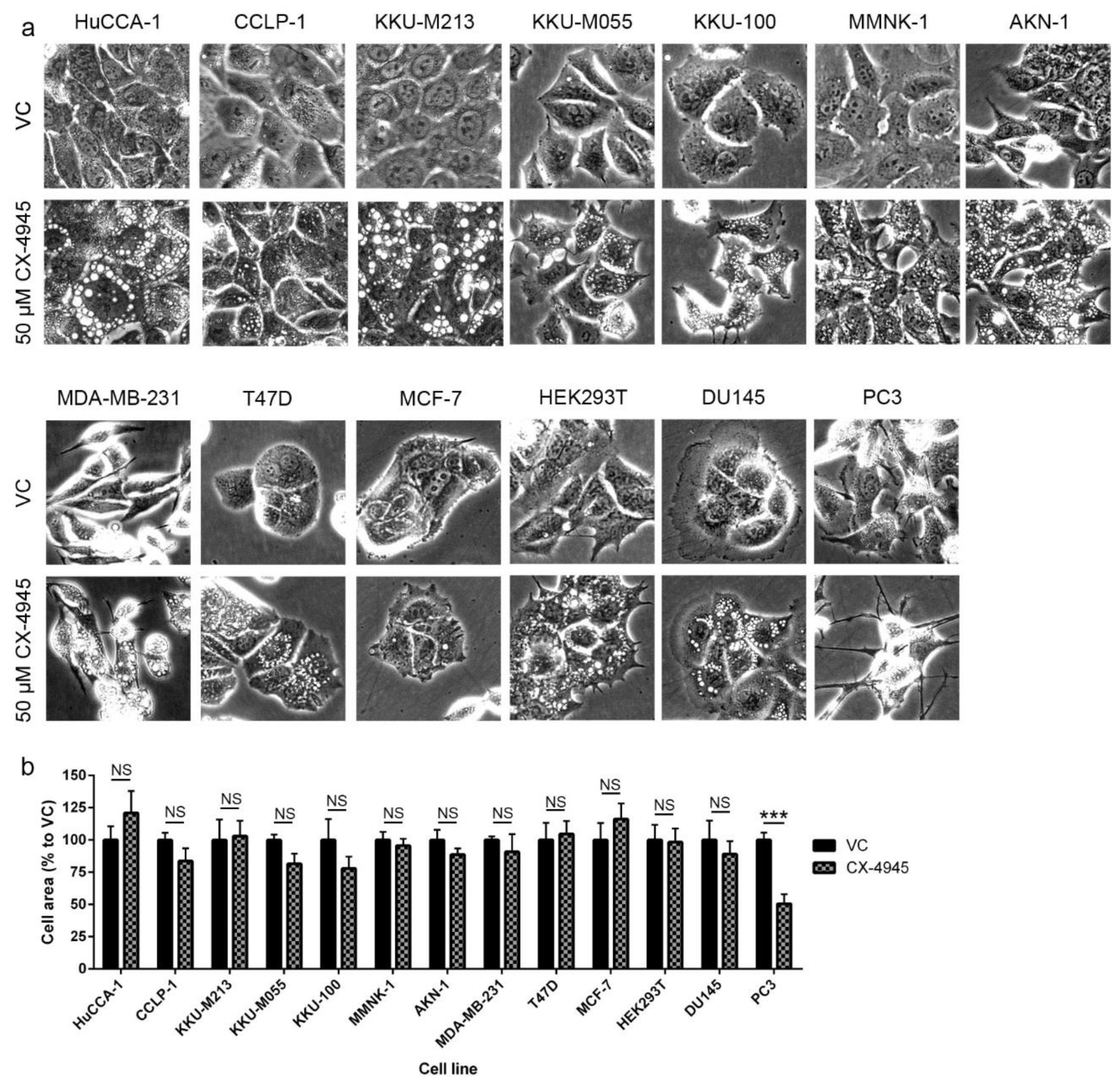 Cancers 10 00283 g003 Cancers 10 00283 g003