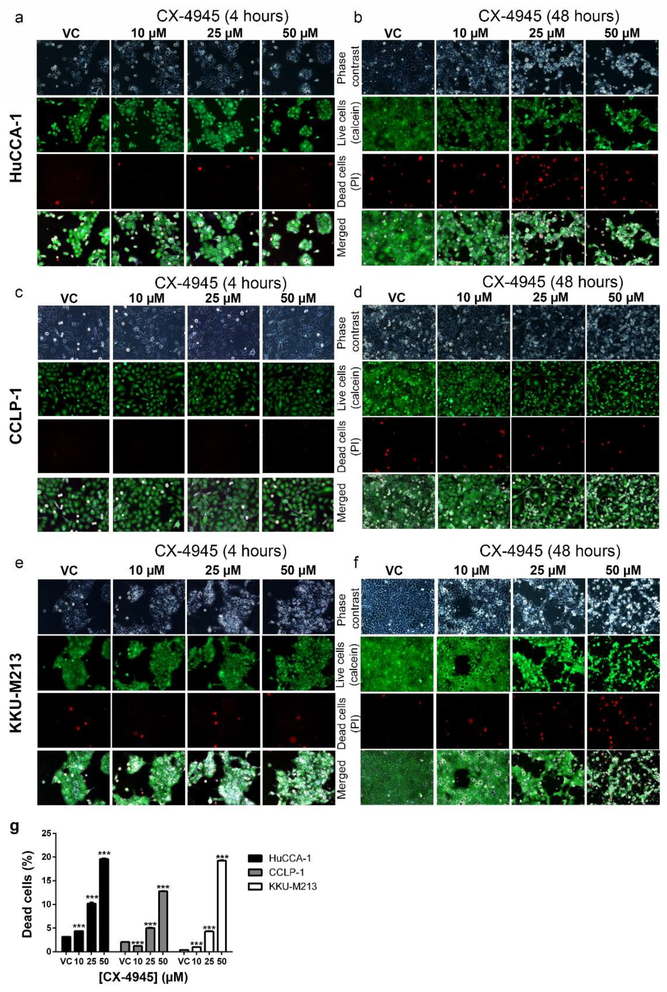 Cancers 10 00283 g004 Cancers 10 00283 g004
