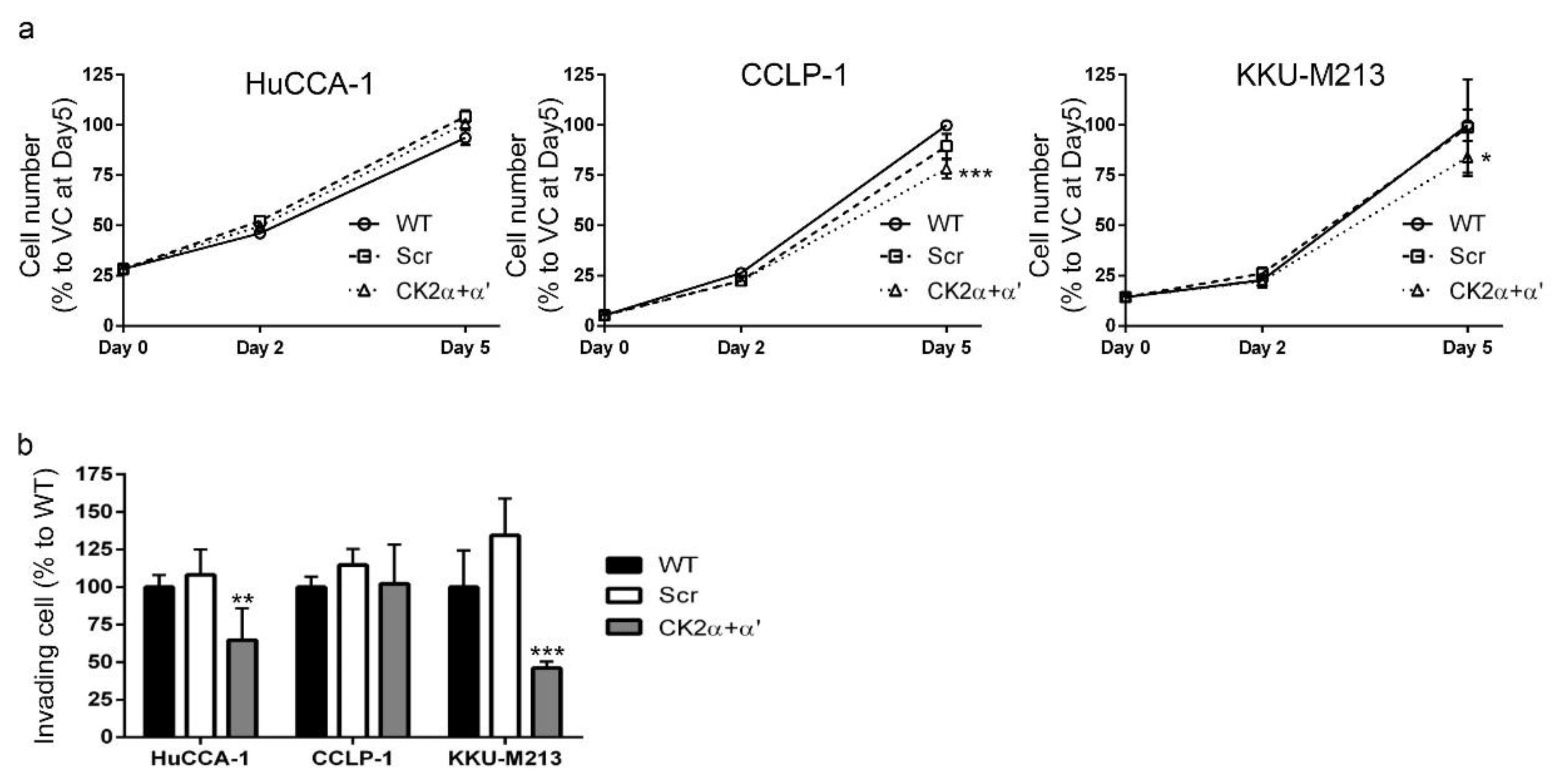 Cancers 10 00283 g008 Cancers 10 00283 g008