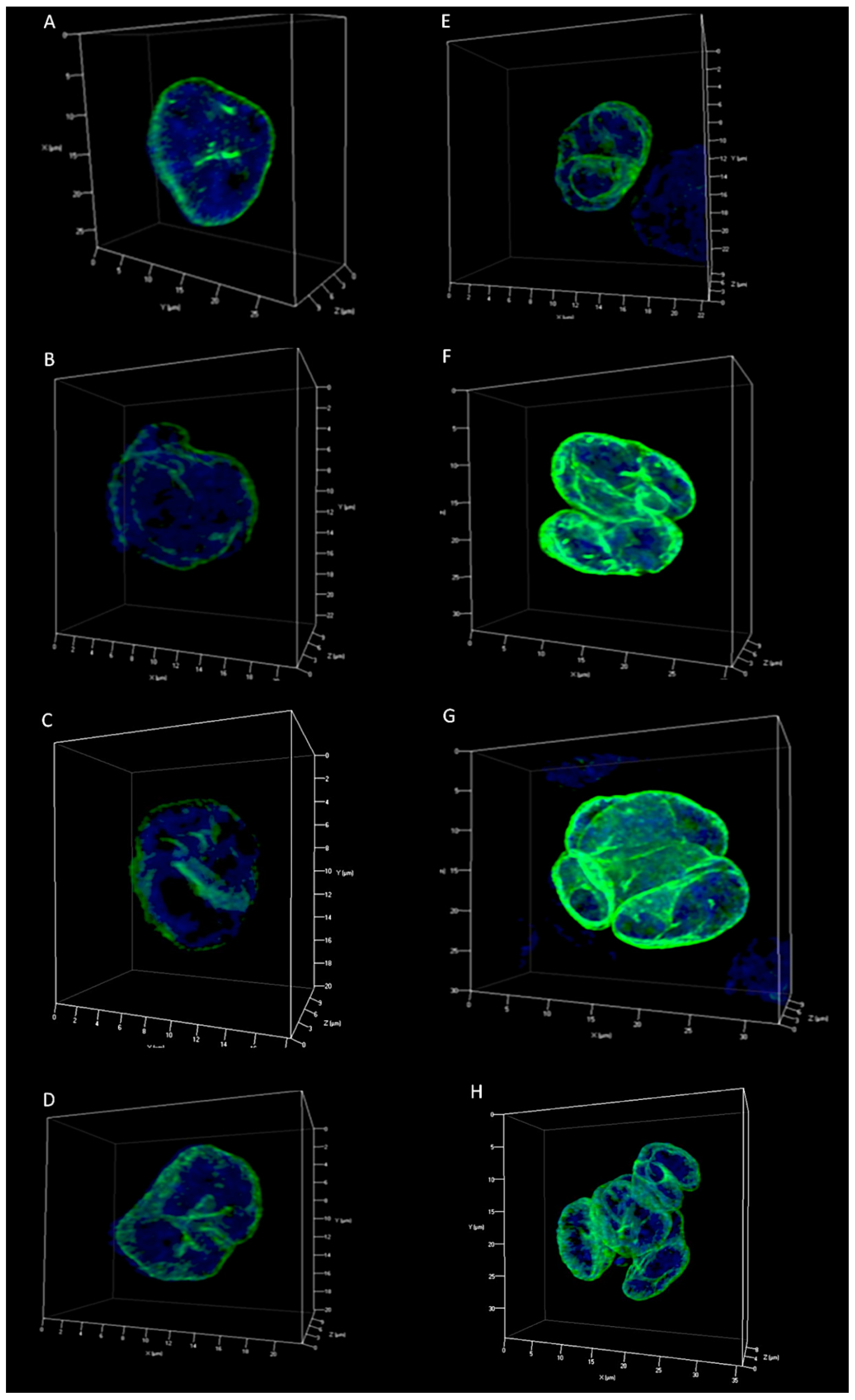 Cancers 10 00286 g003