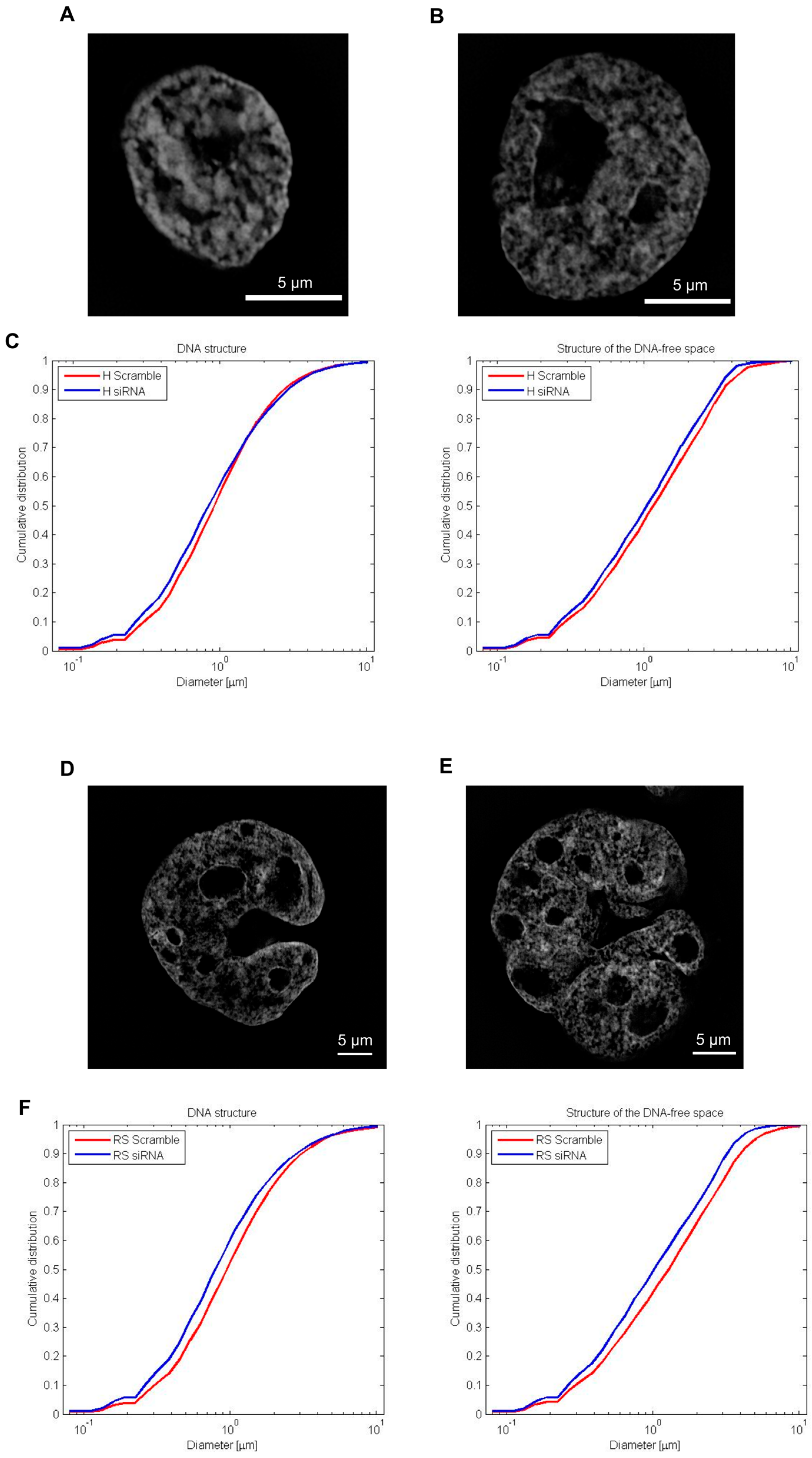 Cancers 10 00286 g007