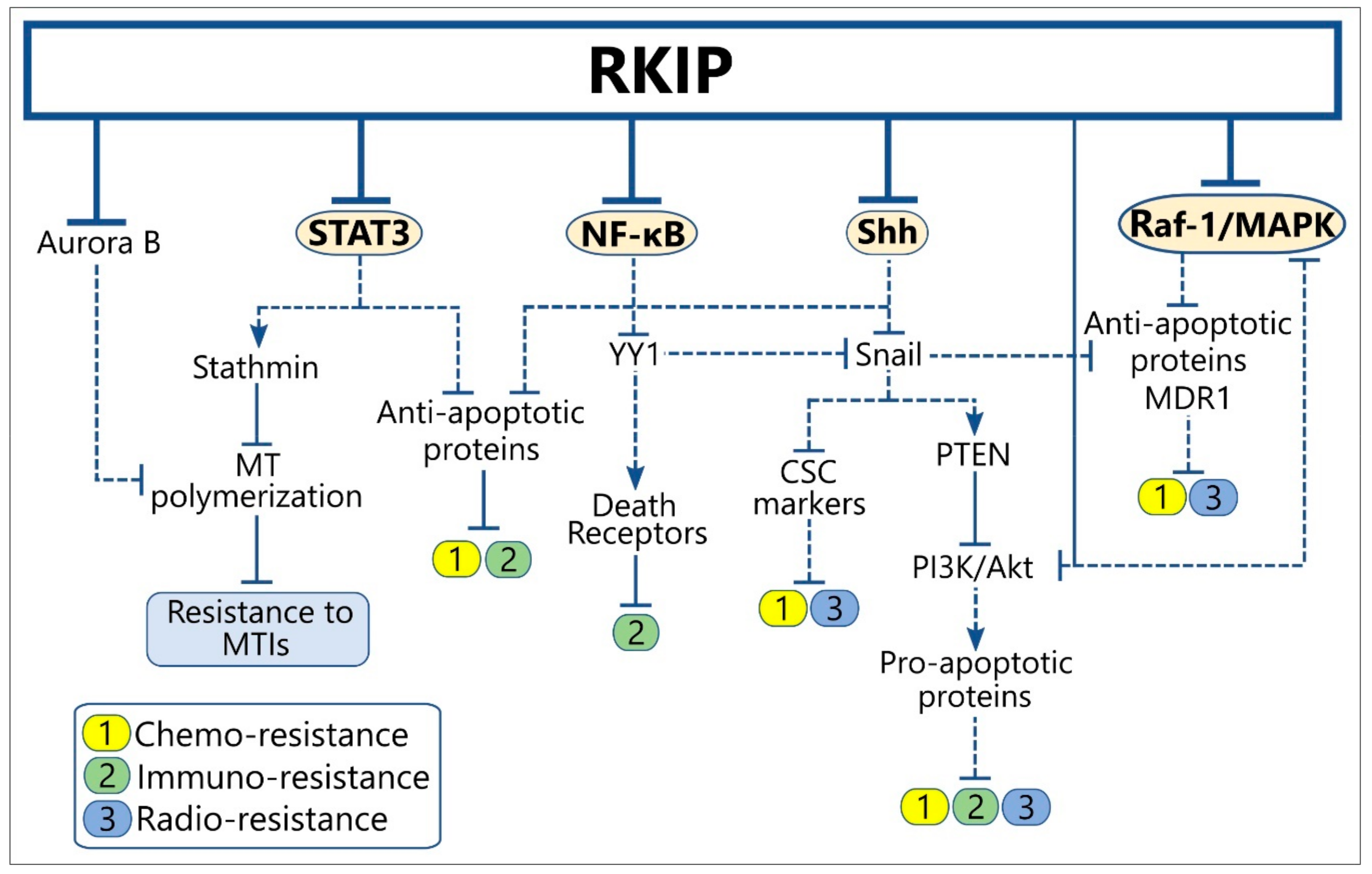 Cancers 10 00287 g003 Cancers 10 00287 g003