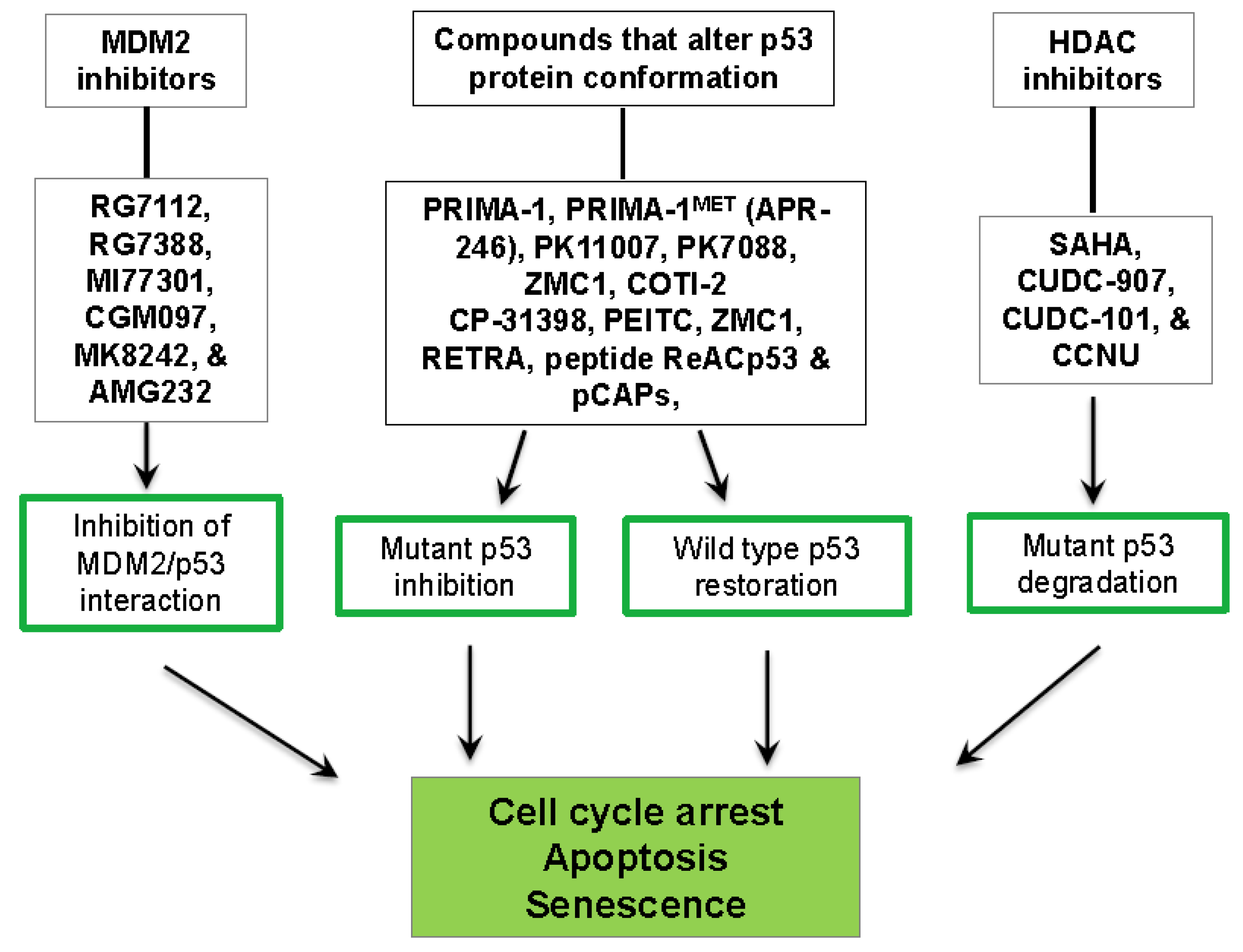 Cancers 10 00297 g004 Cancers 10 00297 g004