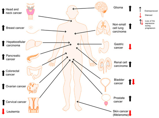 【TK】 Frontiers | Revolutionizing orofacial pain management: the