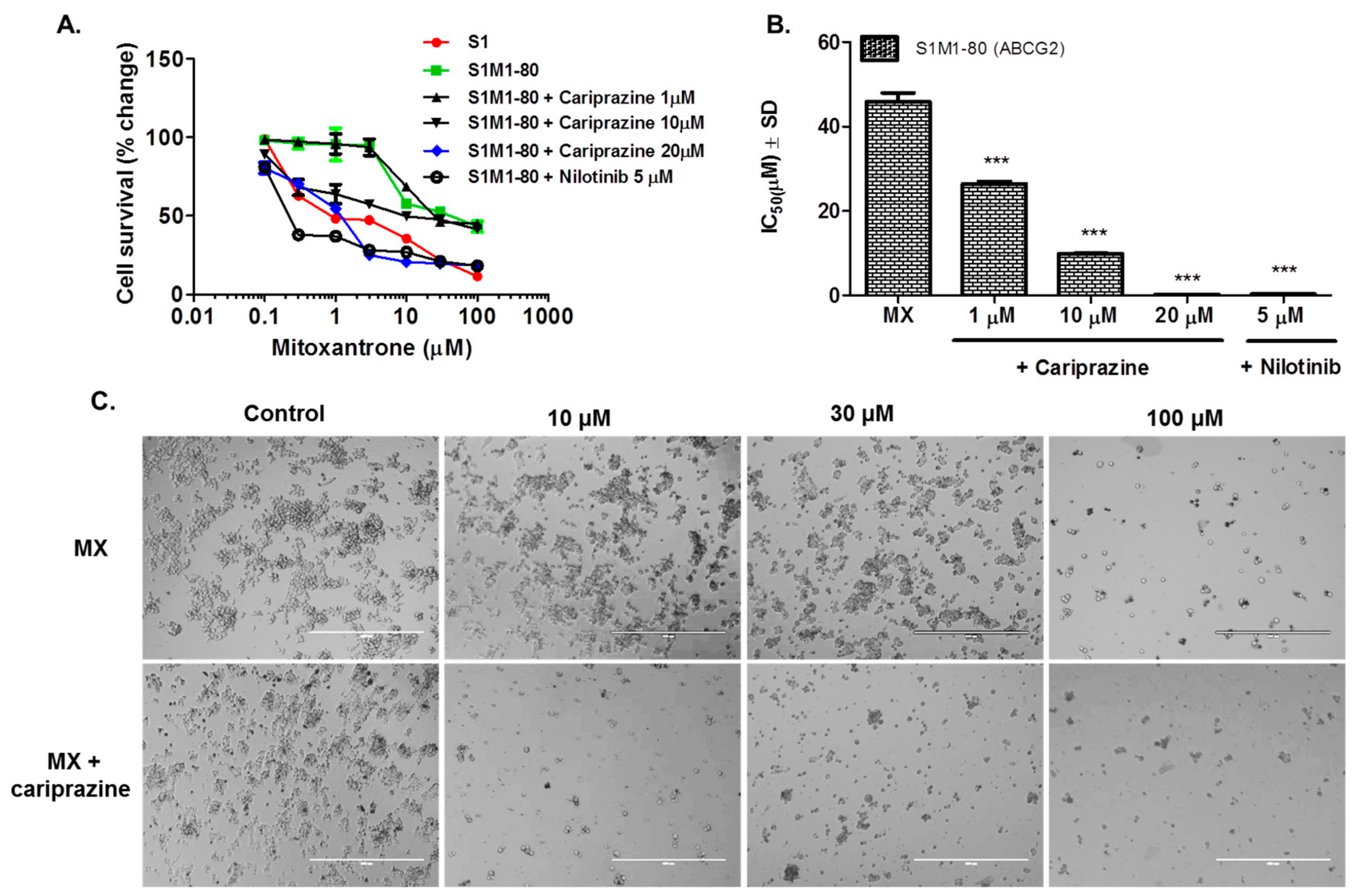 Cancers 10 00308 g003 Cancers 10 00308 g003