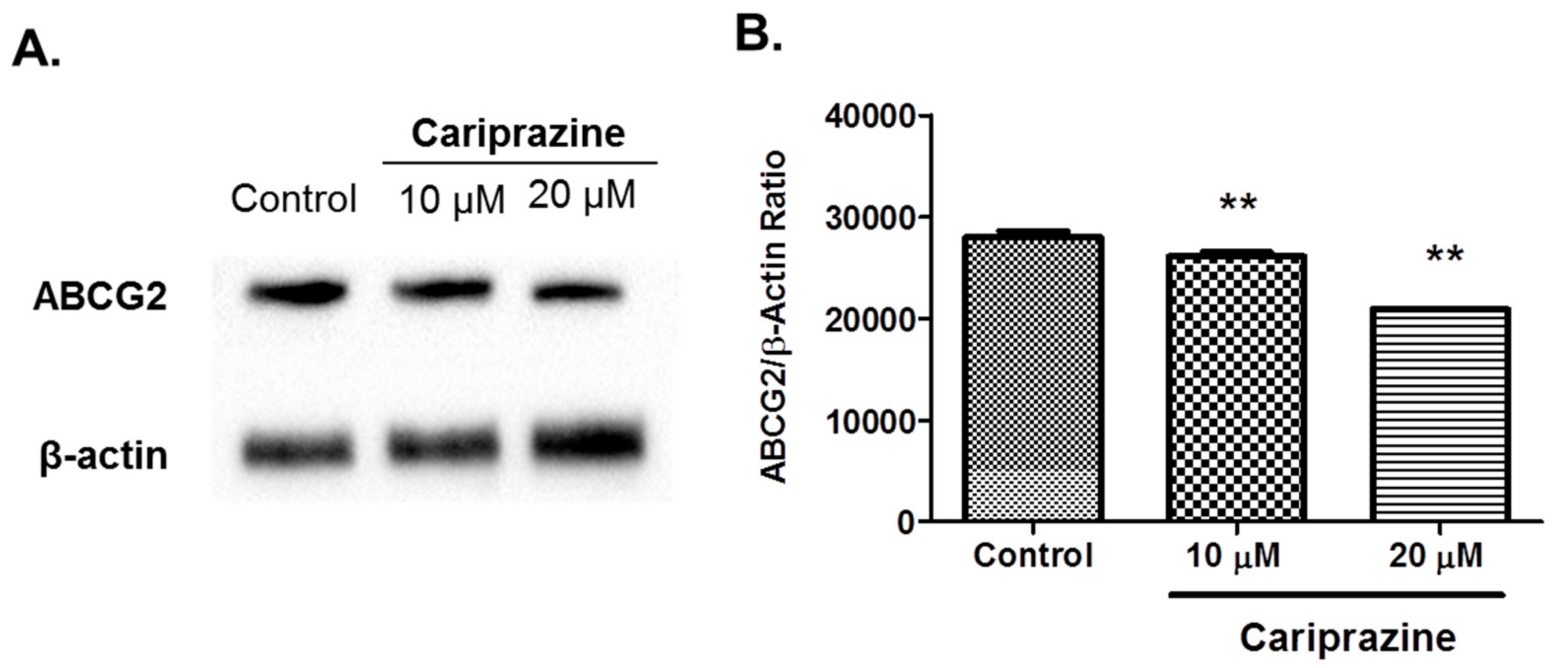 Cancers 10 00308 g005 Cancers 10 00308 g005