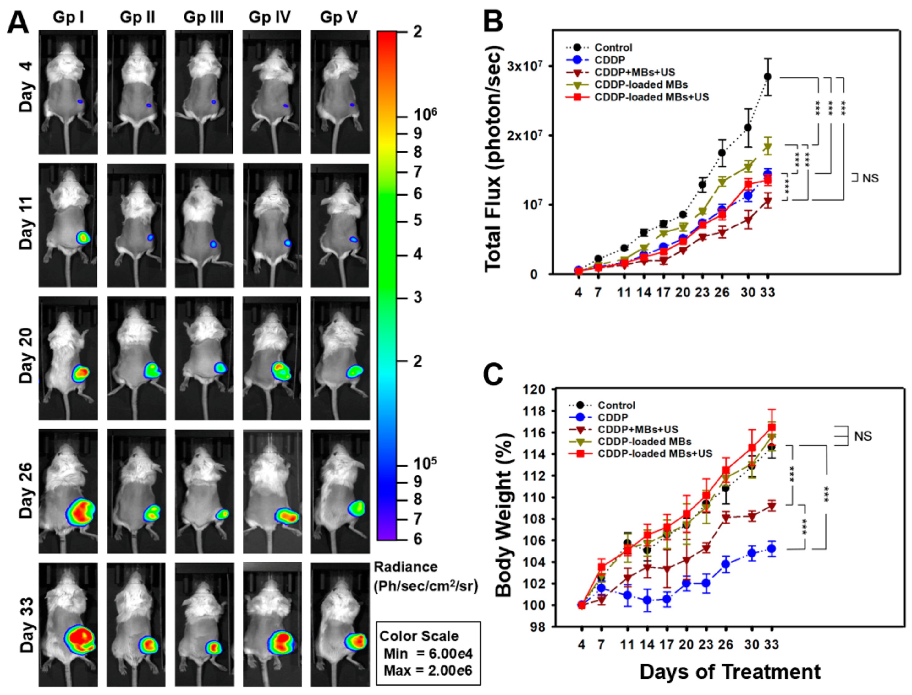 Cancers 10 00311 g004