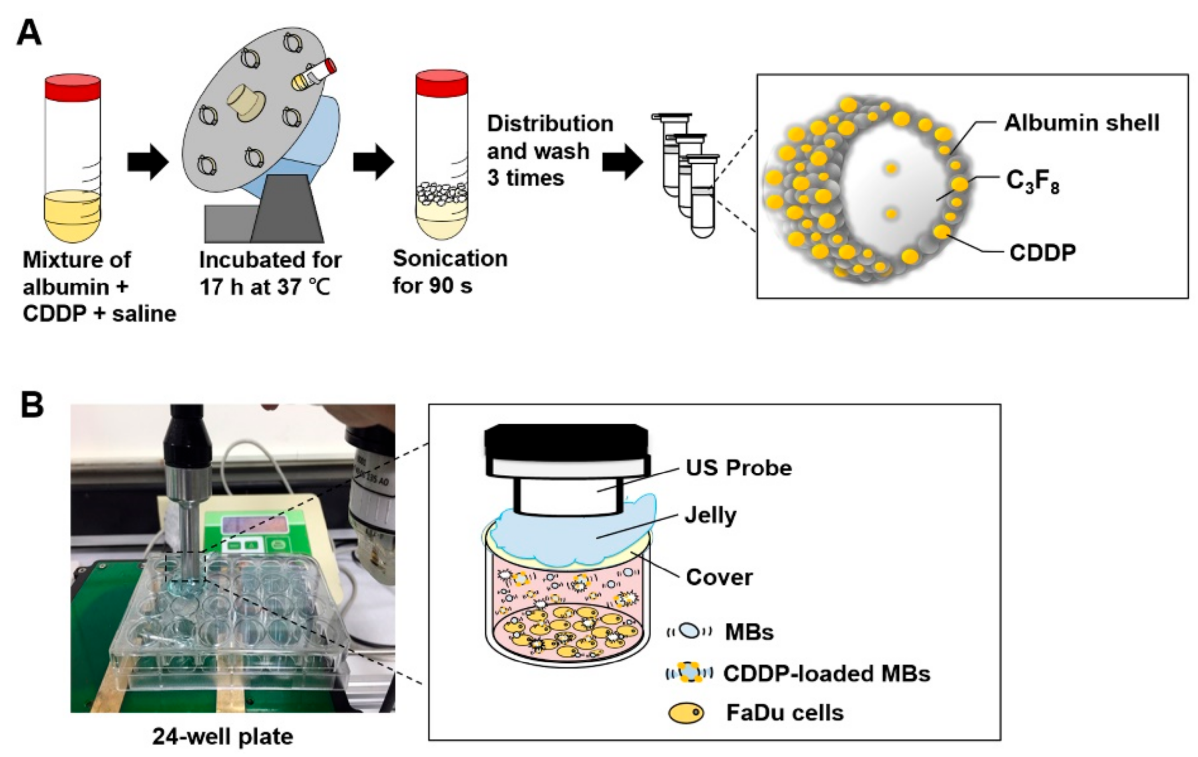 Cancers 10 00311 g008