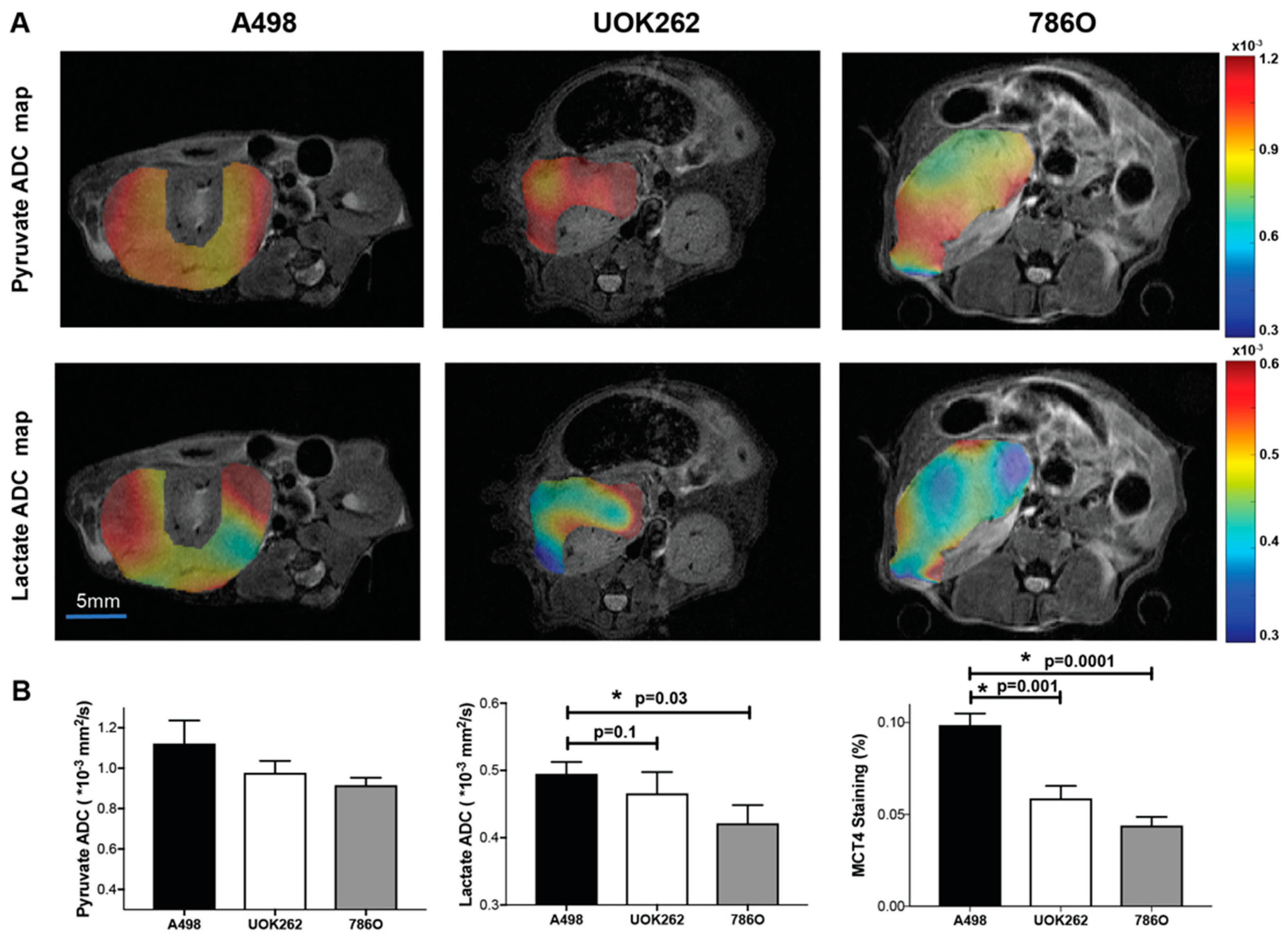 Cancers 10 00313 g004 Cancers 10 00313 g004
