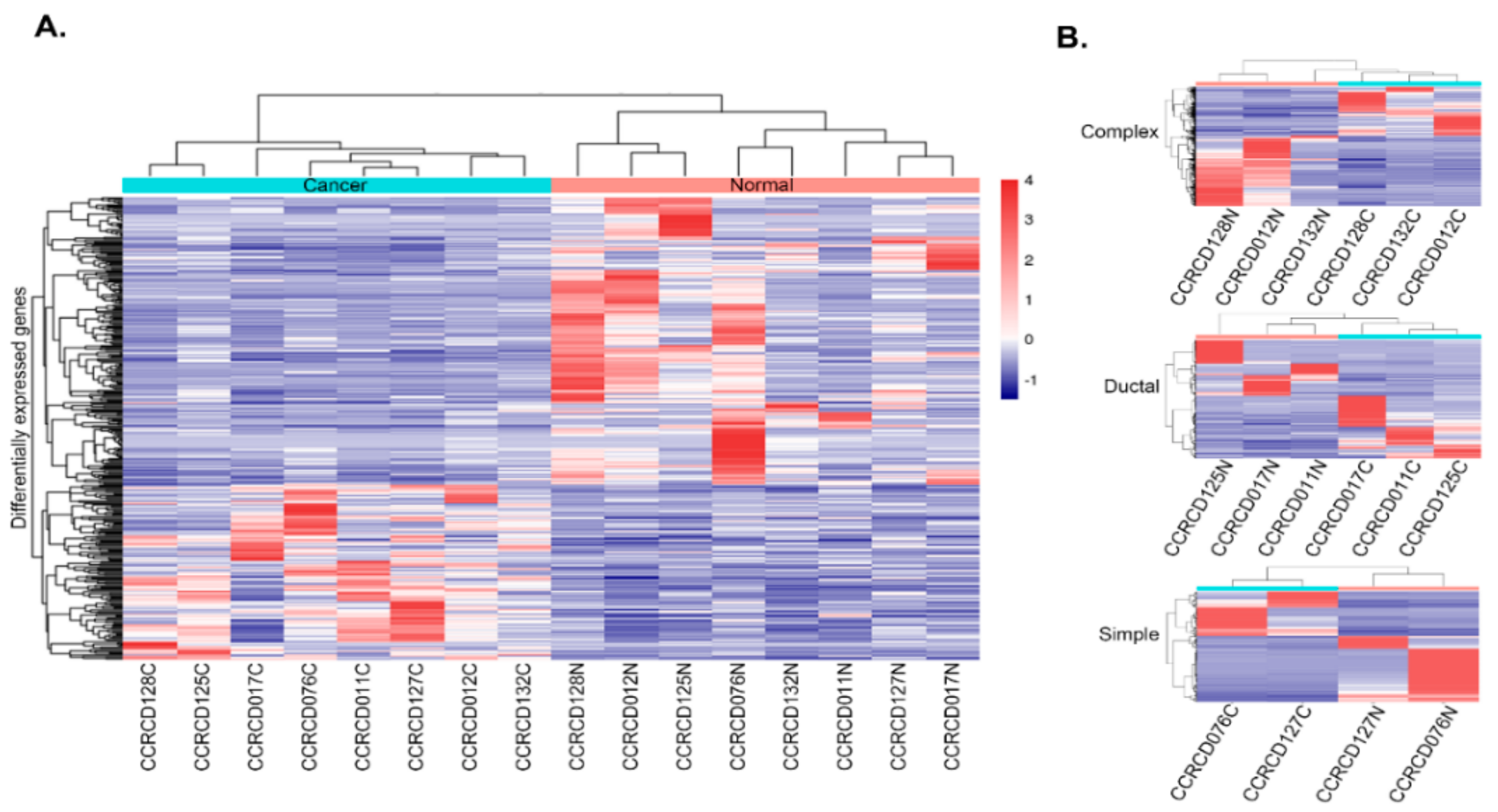 Cancers 10 00317 g002 Cancers 10 00317 g002