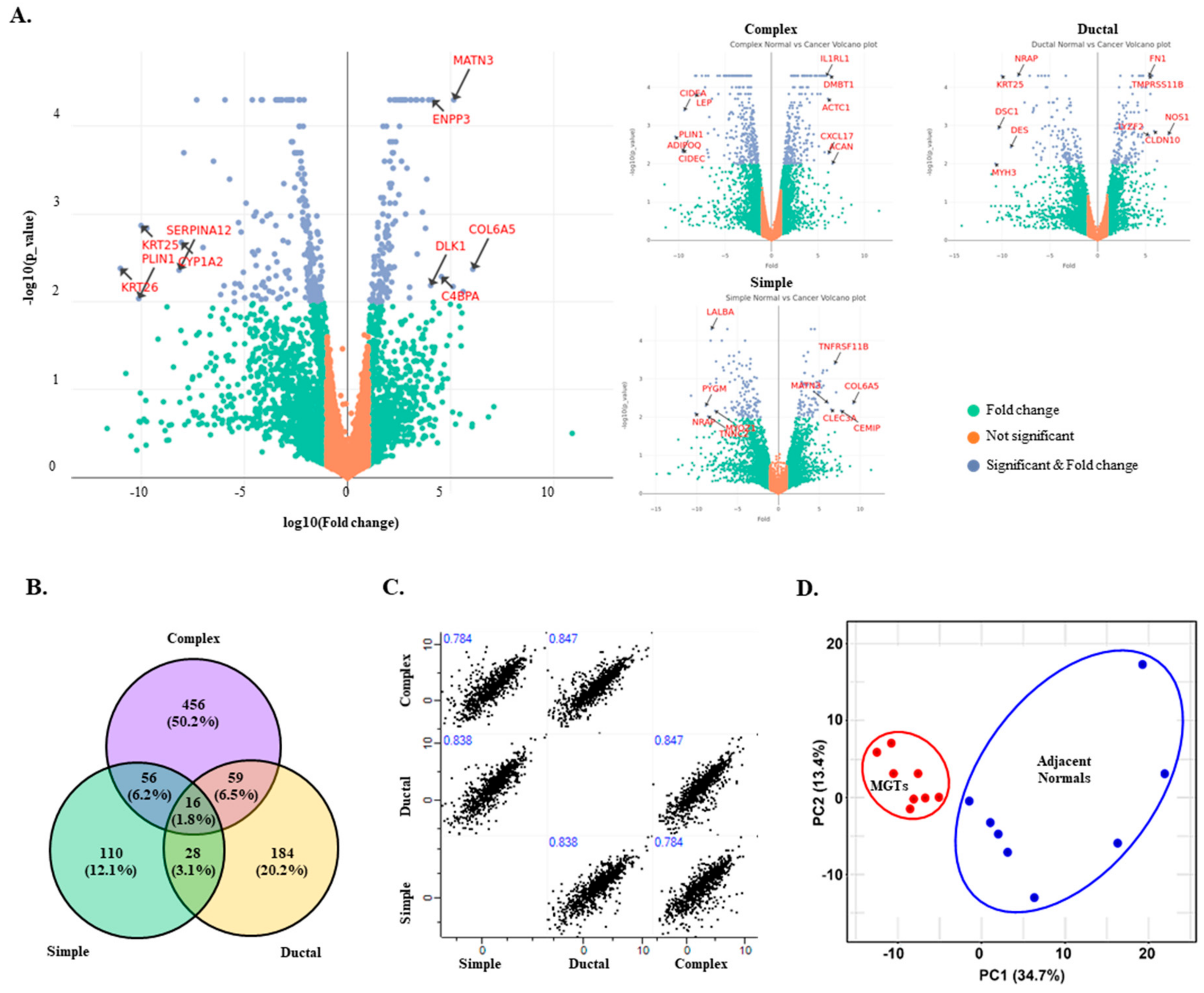 Cancers 10 00317 g003 Cancers 10 00317 g003