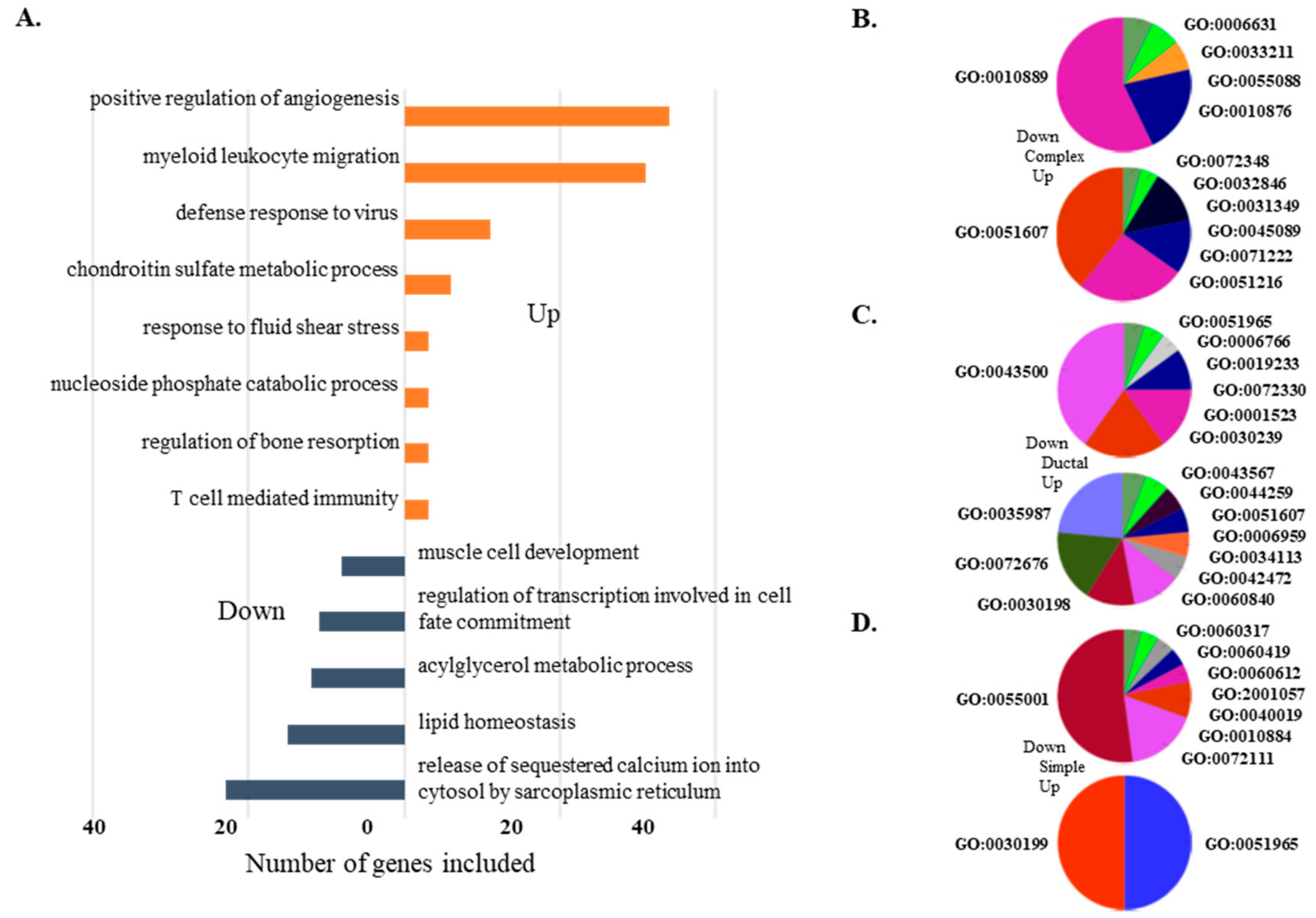 Cancers 10 00317 g005 Cancers 10 00317 g005