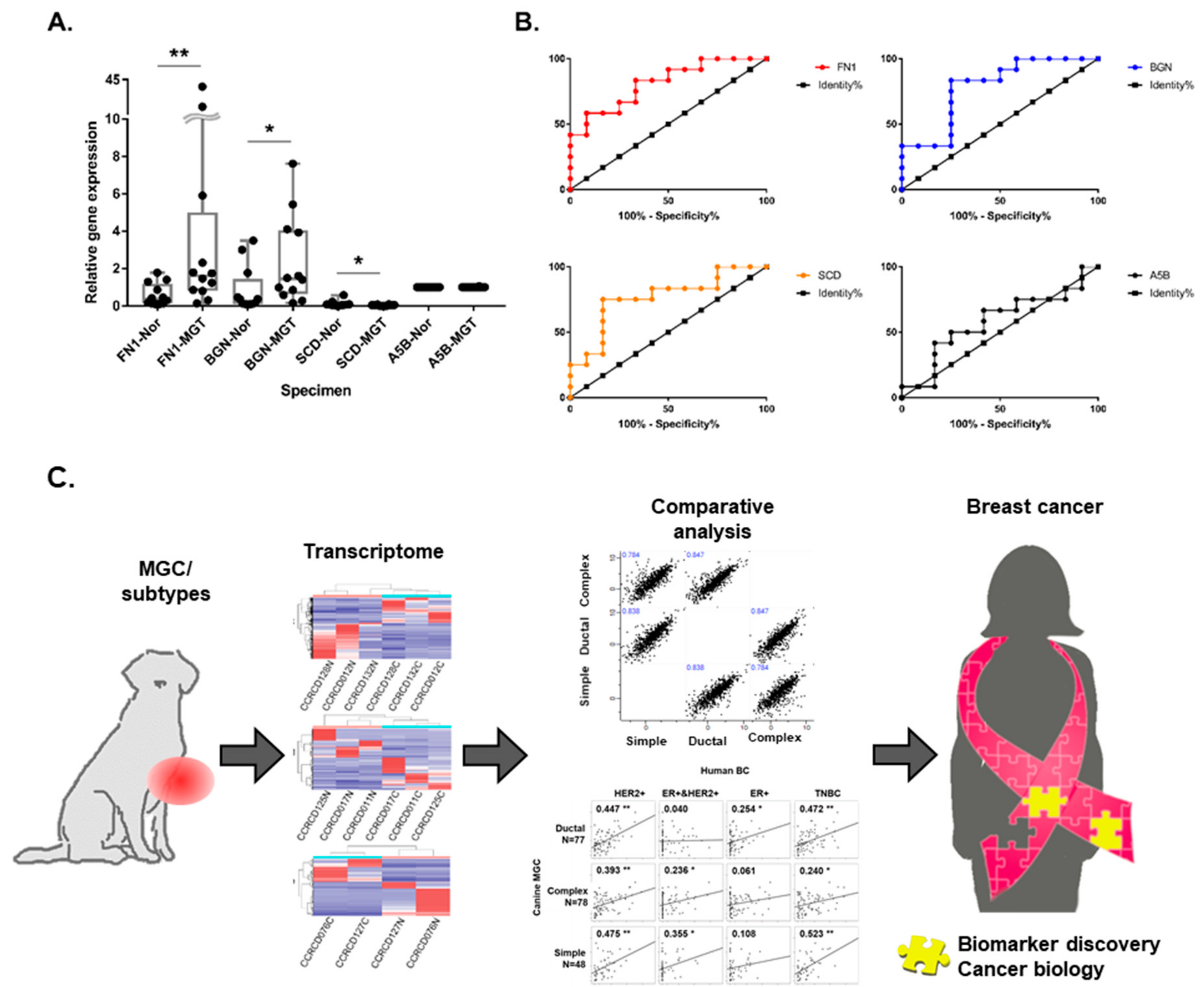 Cancers 10 00317 g008 Cancers 10 00317 g008